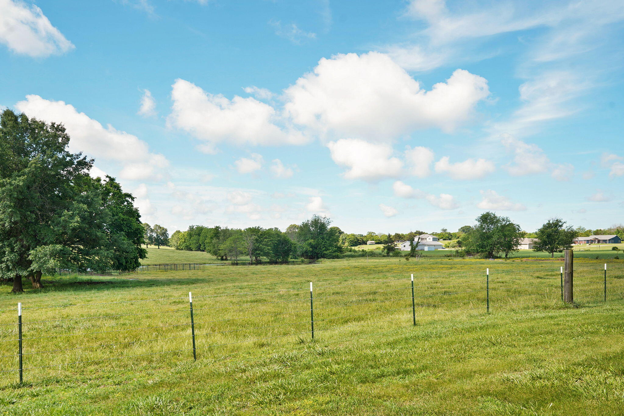 1178 Terrill Road Property Photo 18
