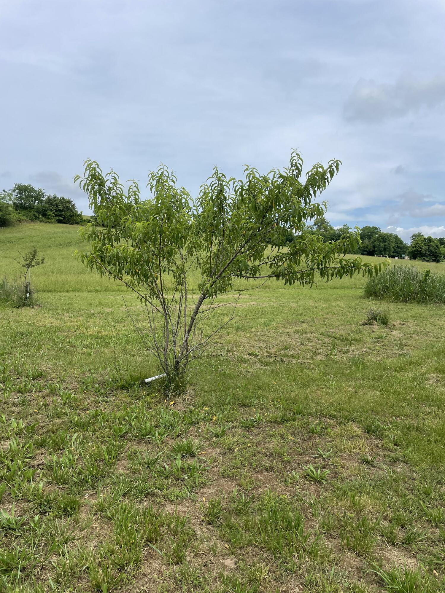 3752 County Road 855 Property Photo 22
