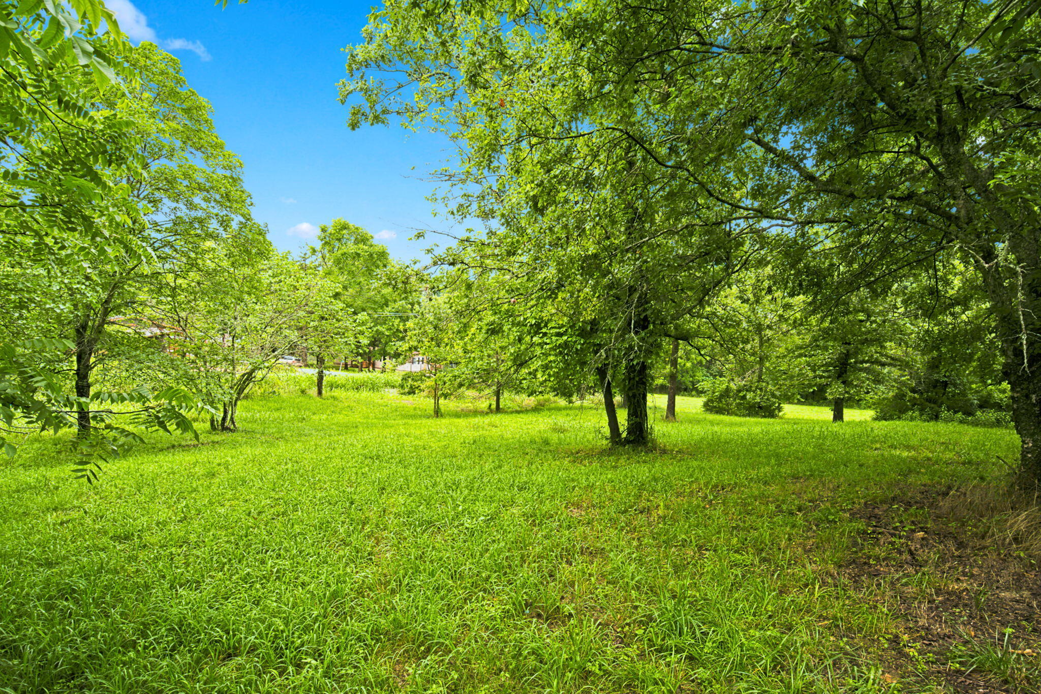 000 Cedar Cove Road Property Photo 3