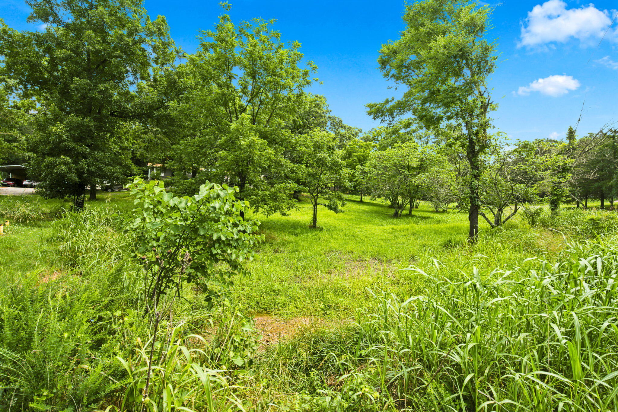 000 Cedar Cove Road Property Photo 4