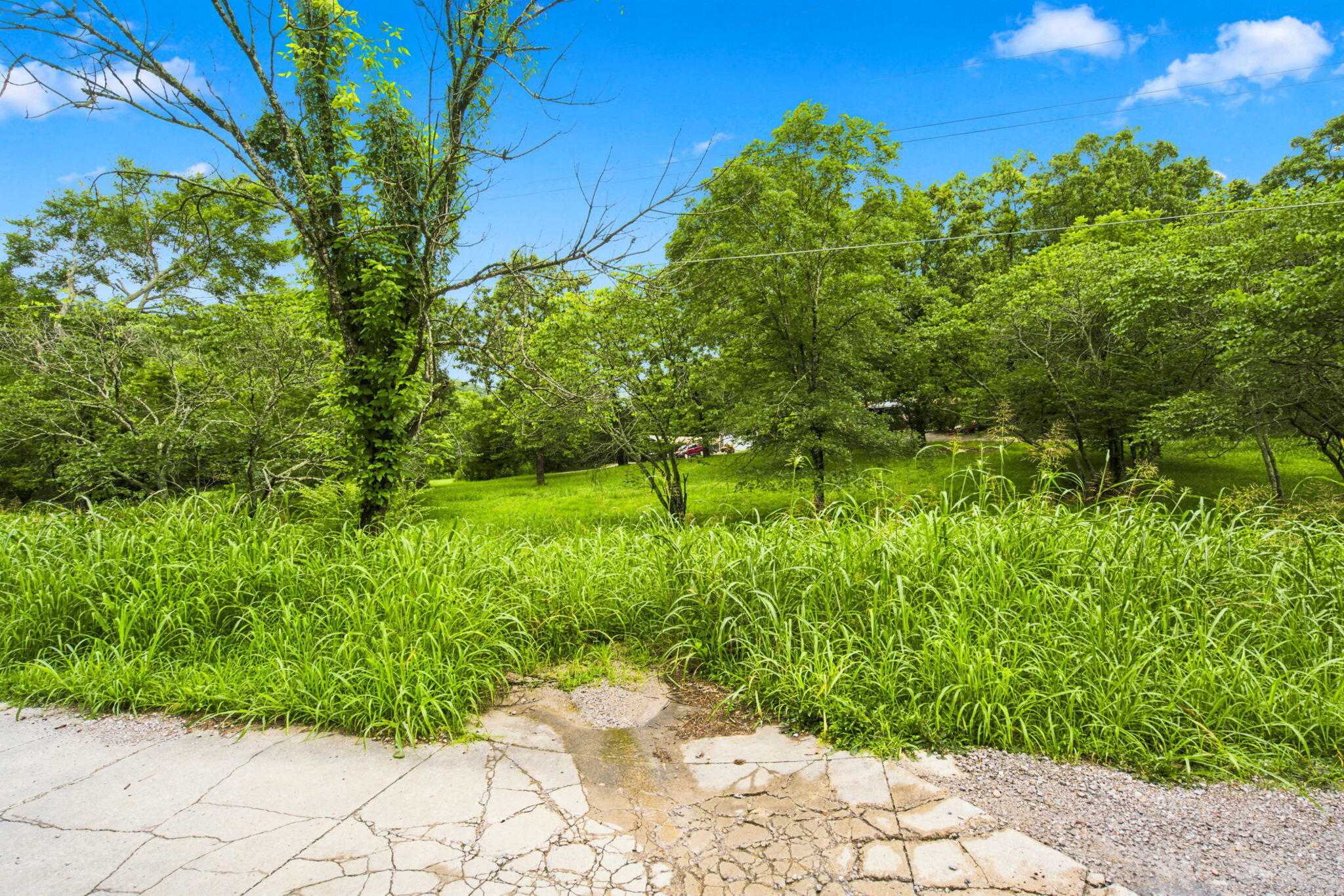 000 Cedar Cove Road Property Photo 30