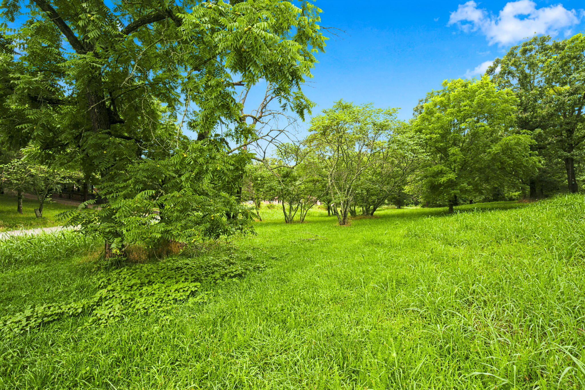 000 Cedar Cove Road Property Photo 33