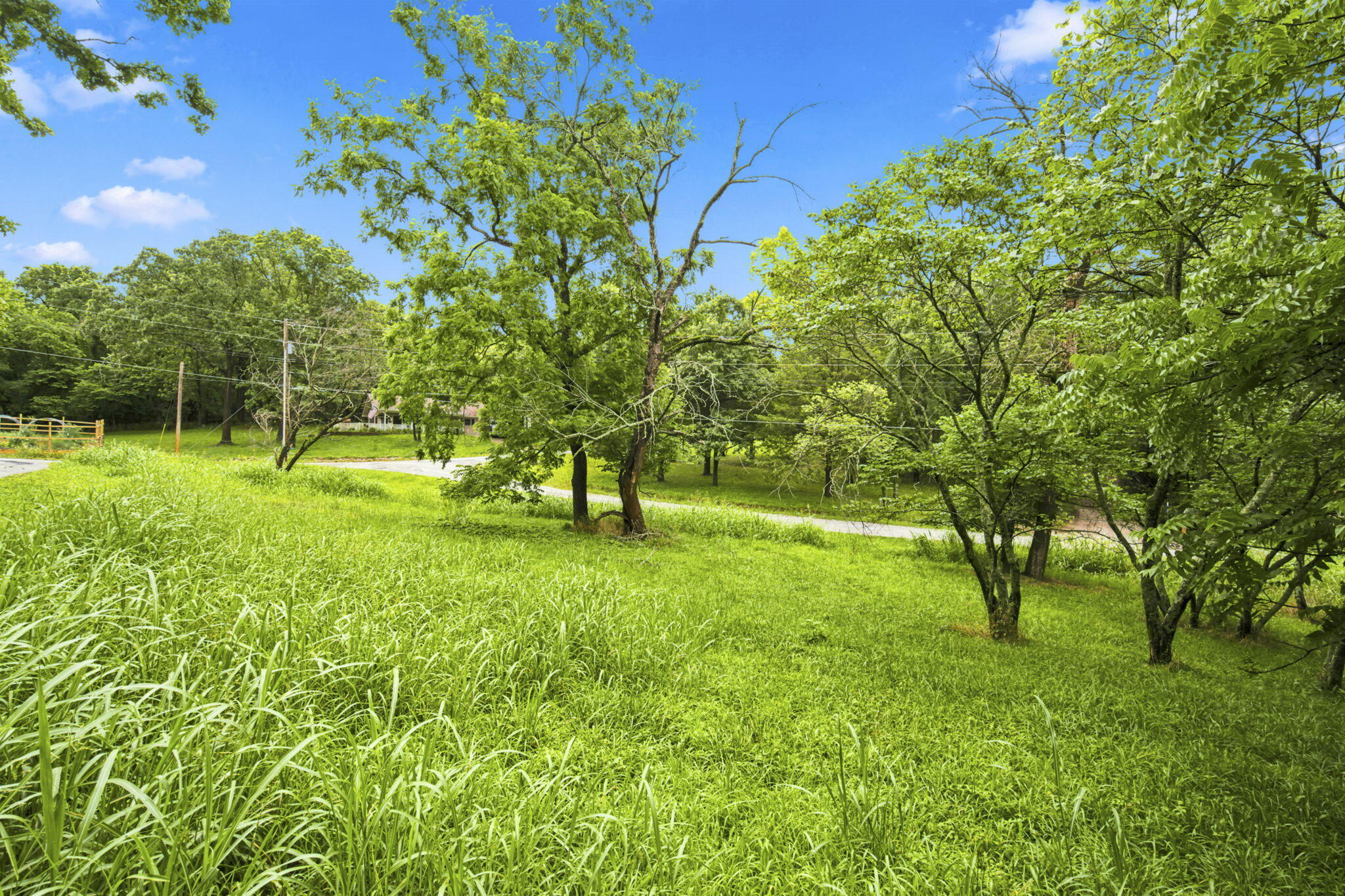 000 Cedar Cove Road Property Photo 34