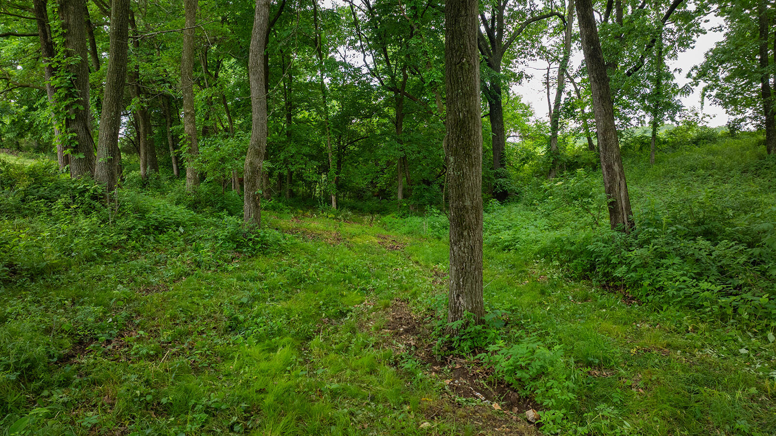 1823 Finley Falls Road Property Photo 72