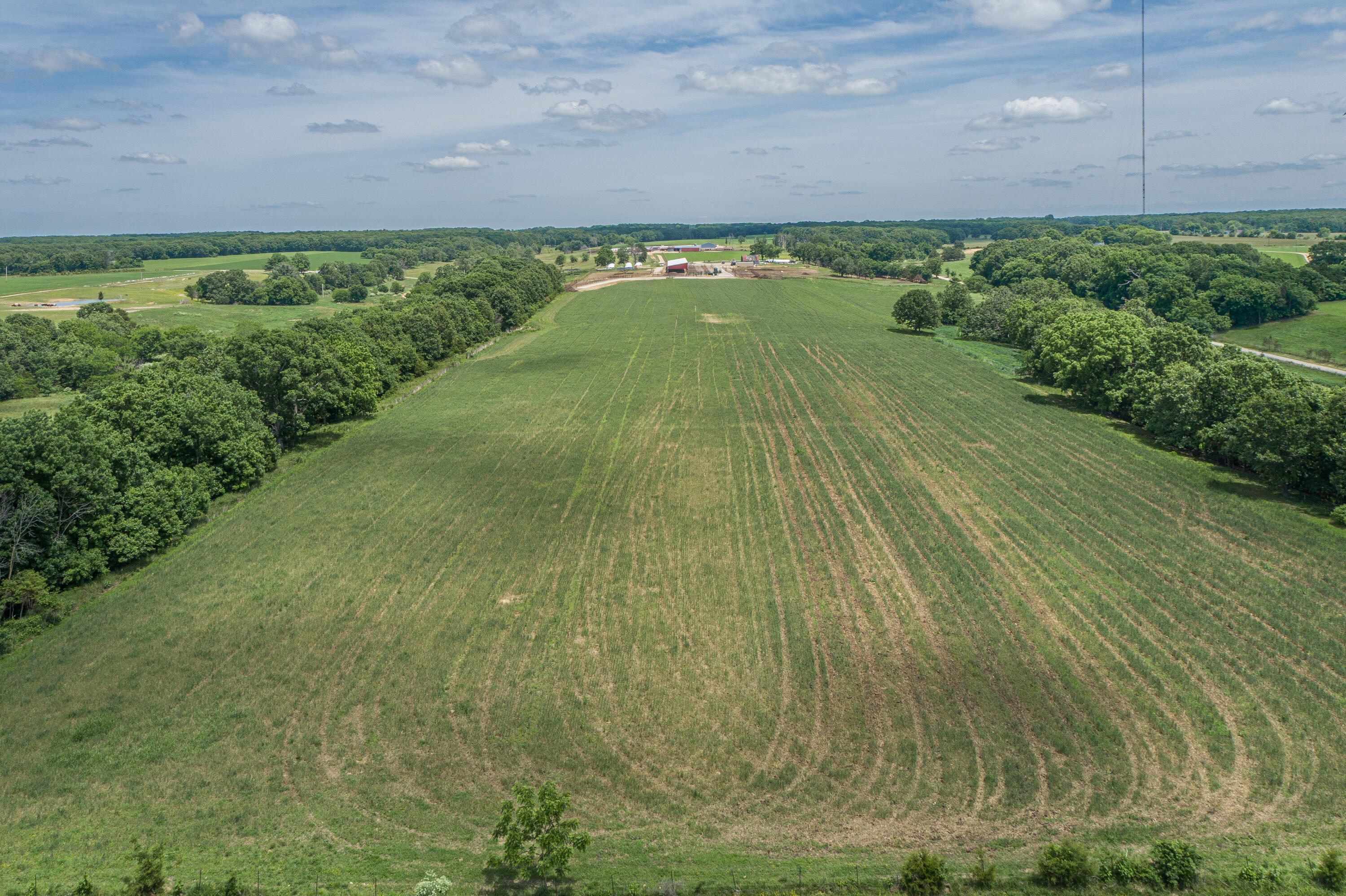 2119 Tall Grass Road Property Photo 5