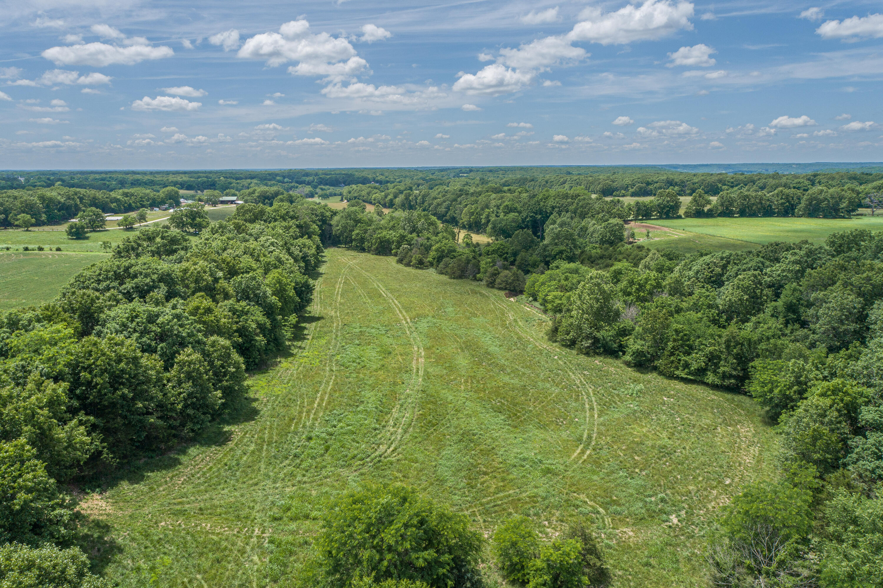 2119 Tall Grass Road Property Photo 6