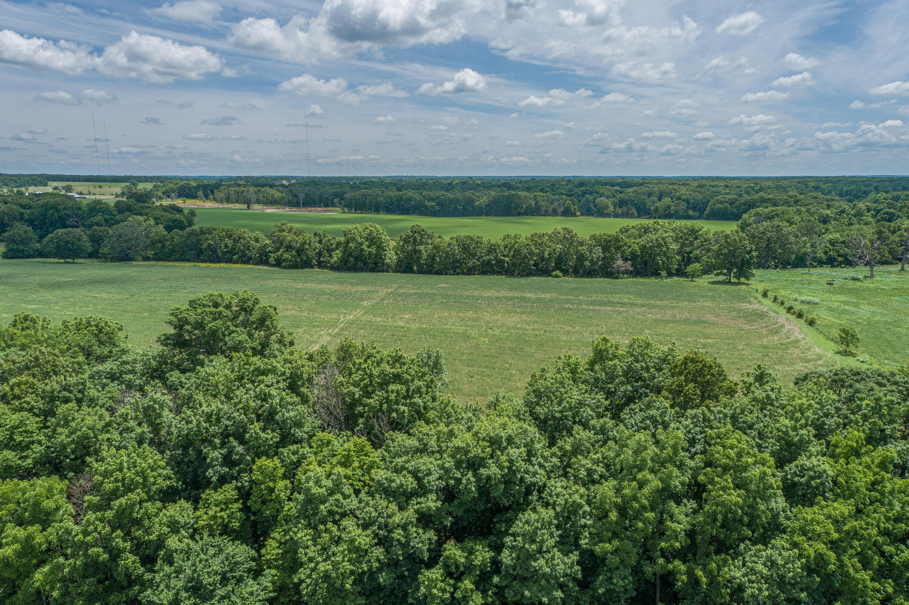 2119 Tall Grass Road Property Photo 7