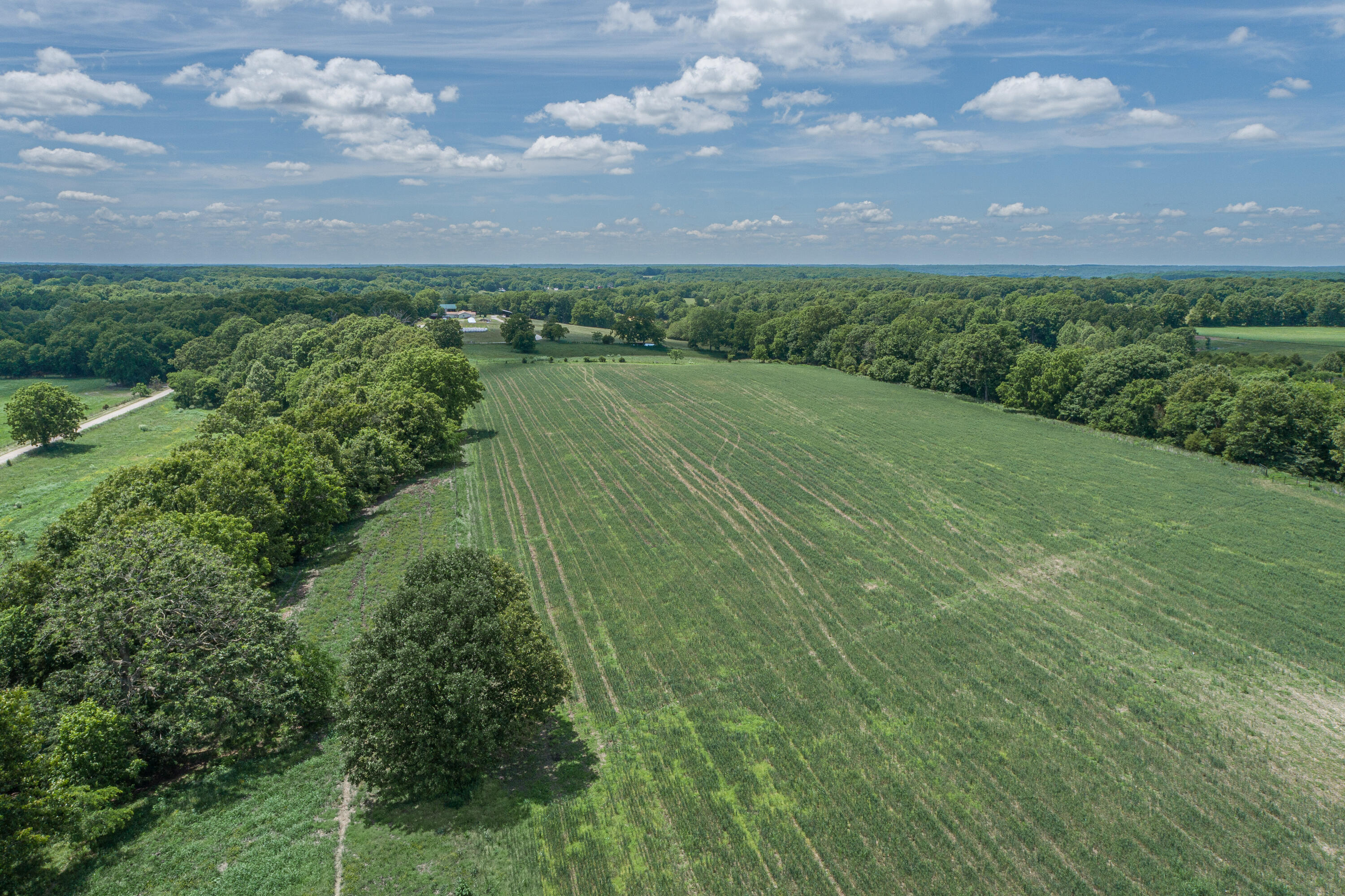 2119 Tall Grass Road Property Photo 8