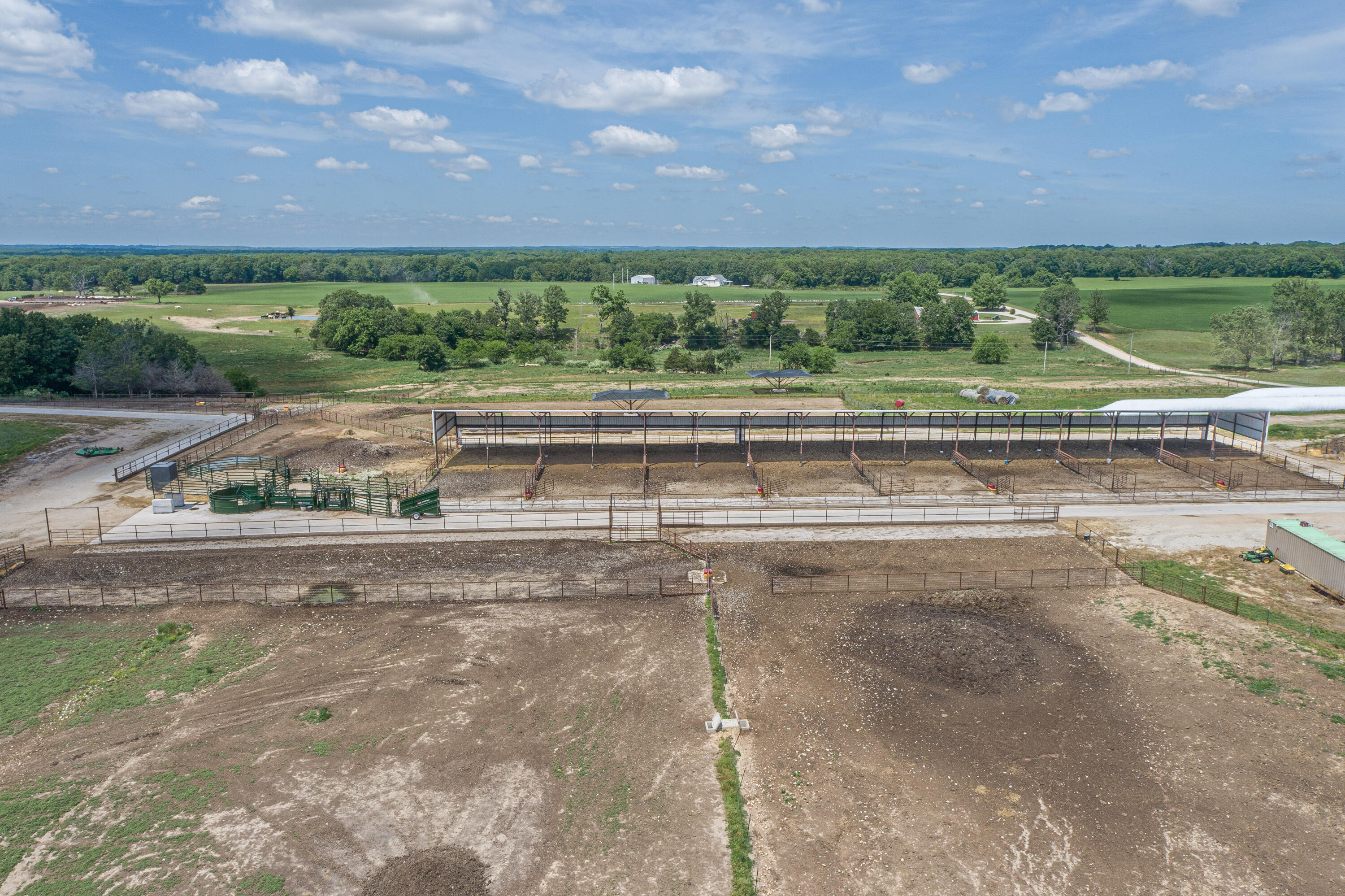 2119 Tall Grass Road Property Photo 9