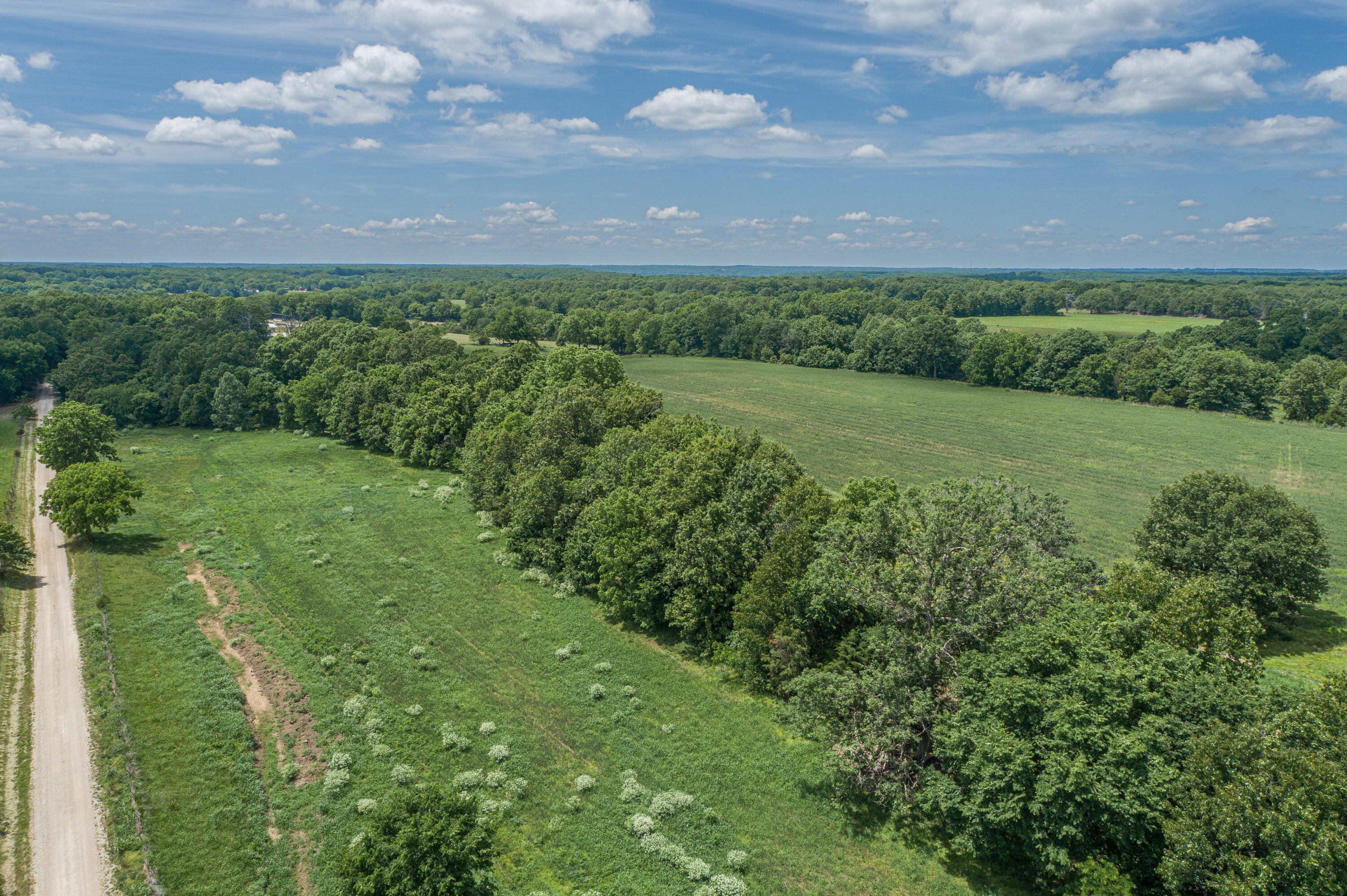 2119 Tall Grass Road Property Photo 11
