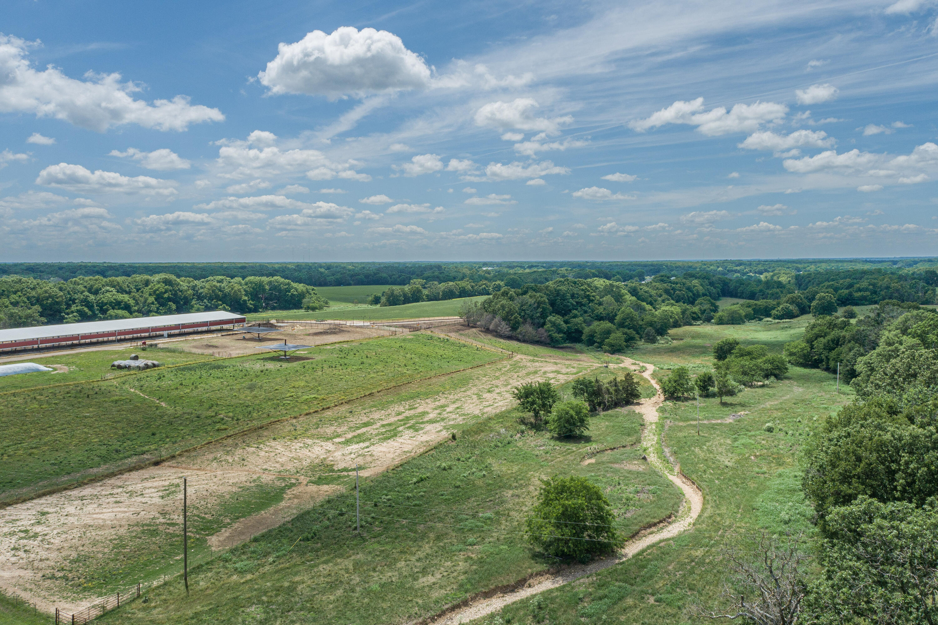 2119 Tall Grass Road Property Photo 13