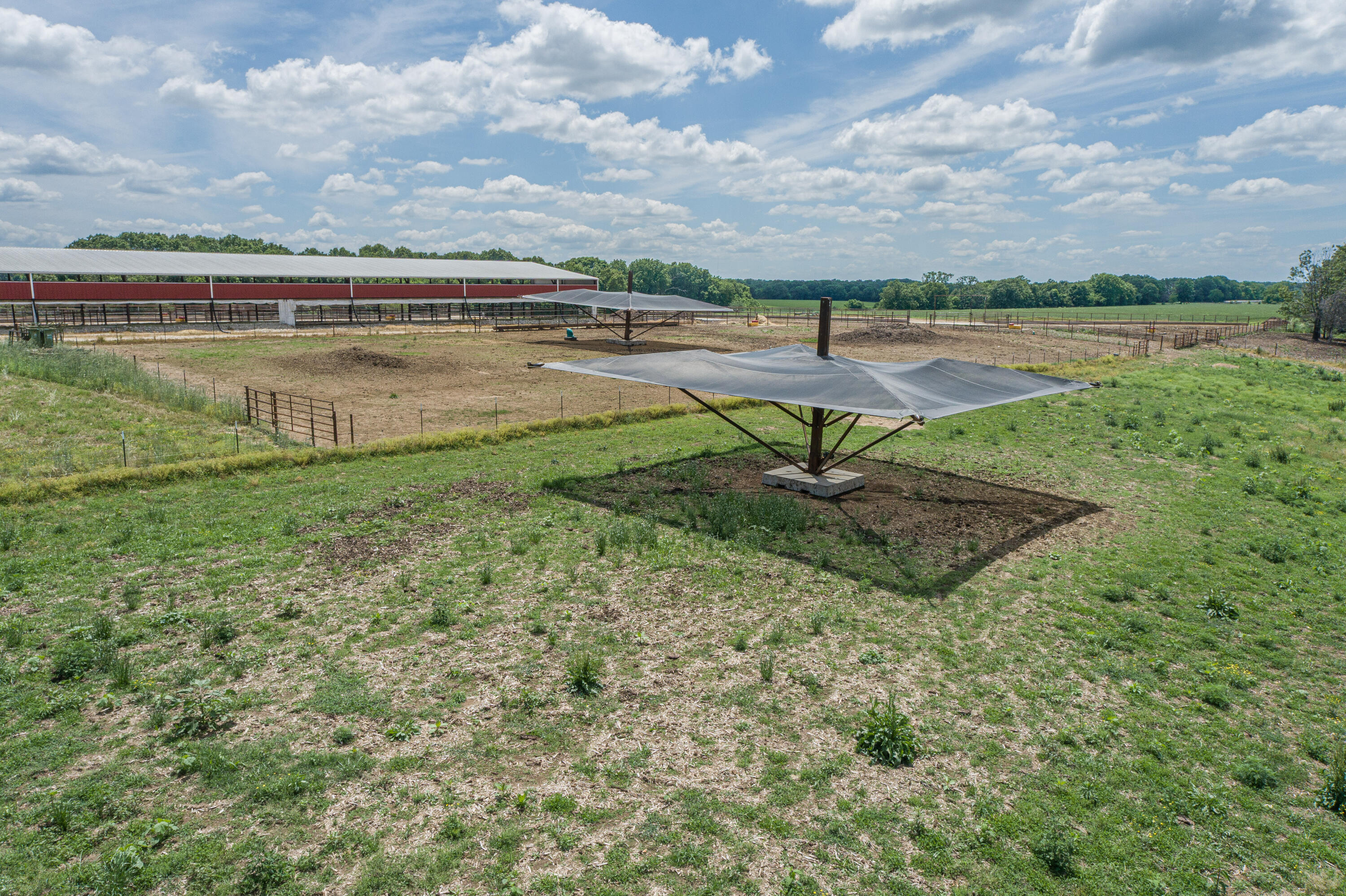 2119 Tall Grass Road Property Photo 14