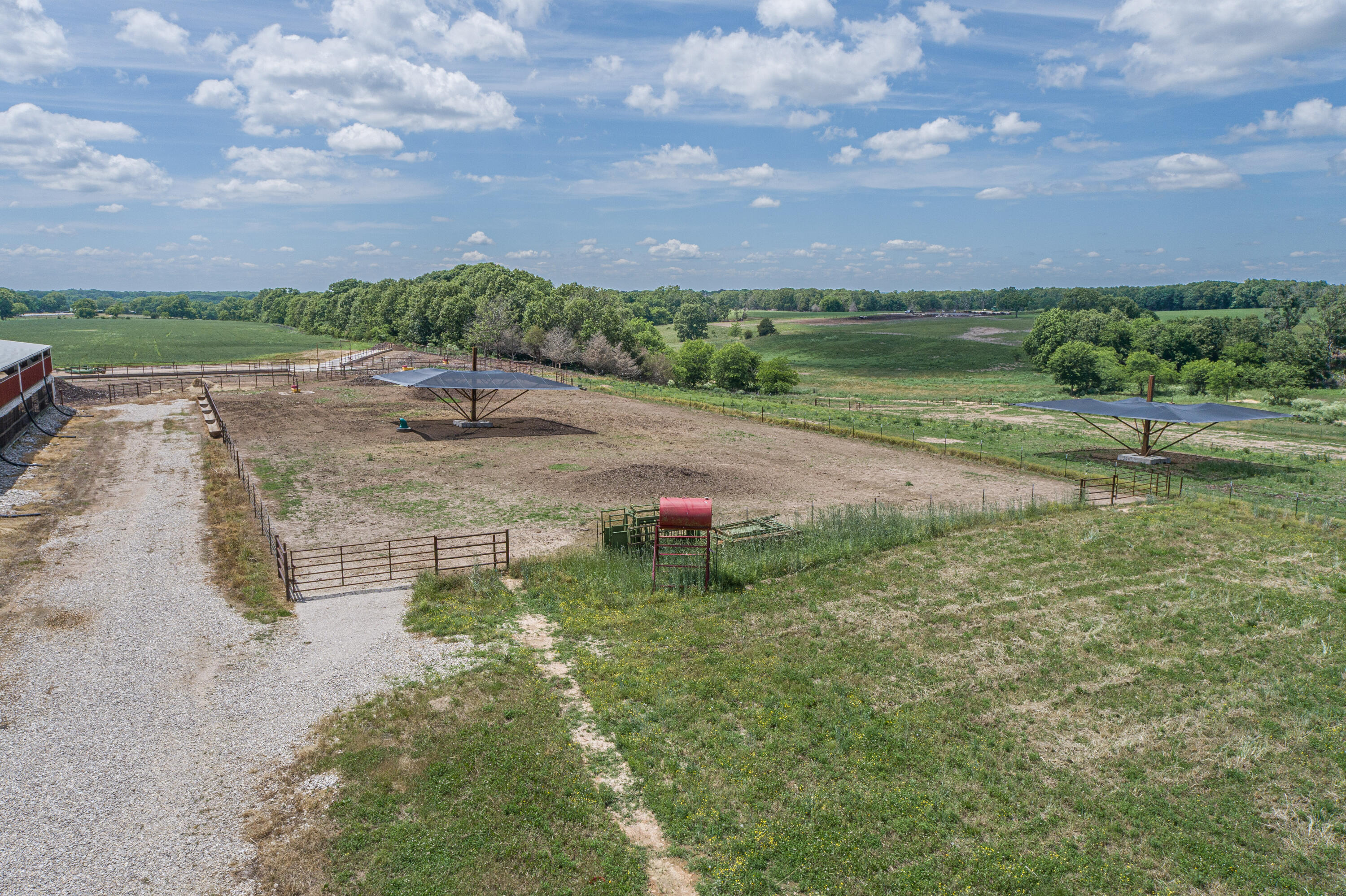 2119 Tall Grass Road Property Photo 15