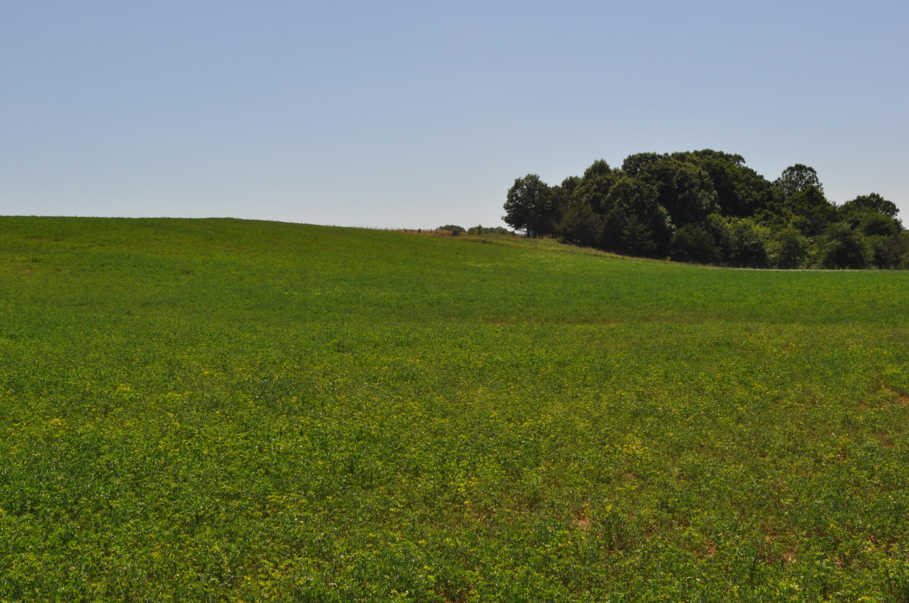 2119 Tall Grass Road Property Photo 26