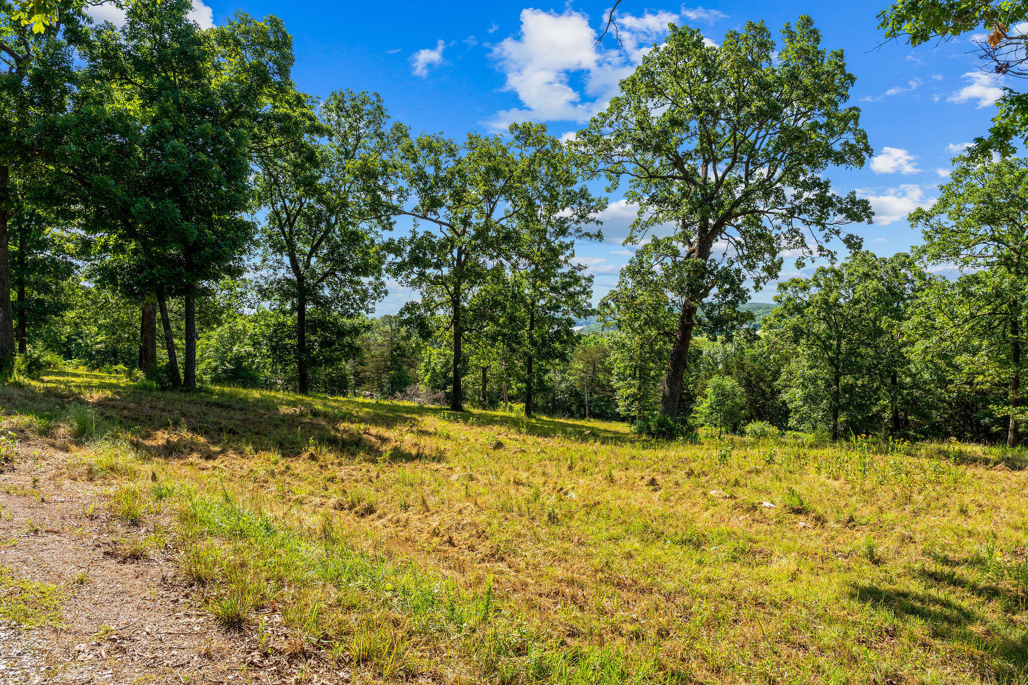 Cedar Falls Lots 1 Property Photo 8