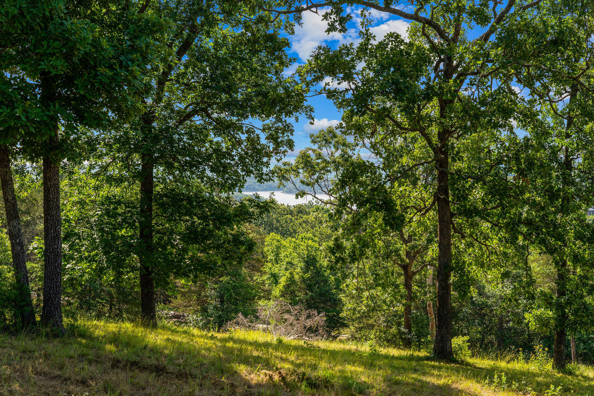 Cedar Falls Lots 1 Property Photo 9