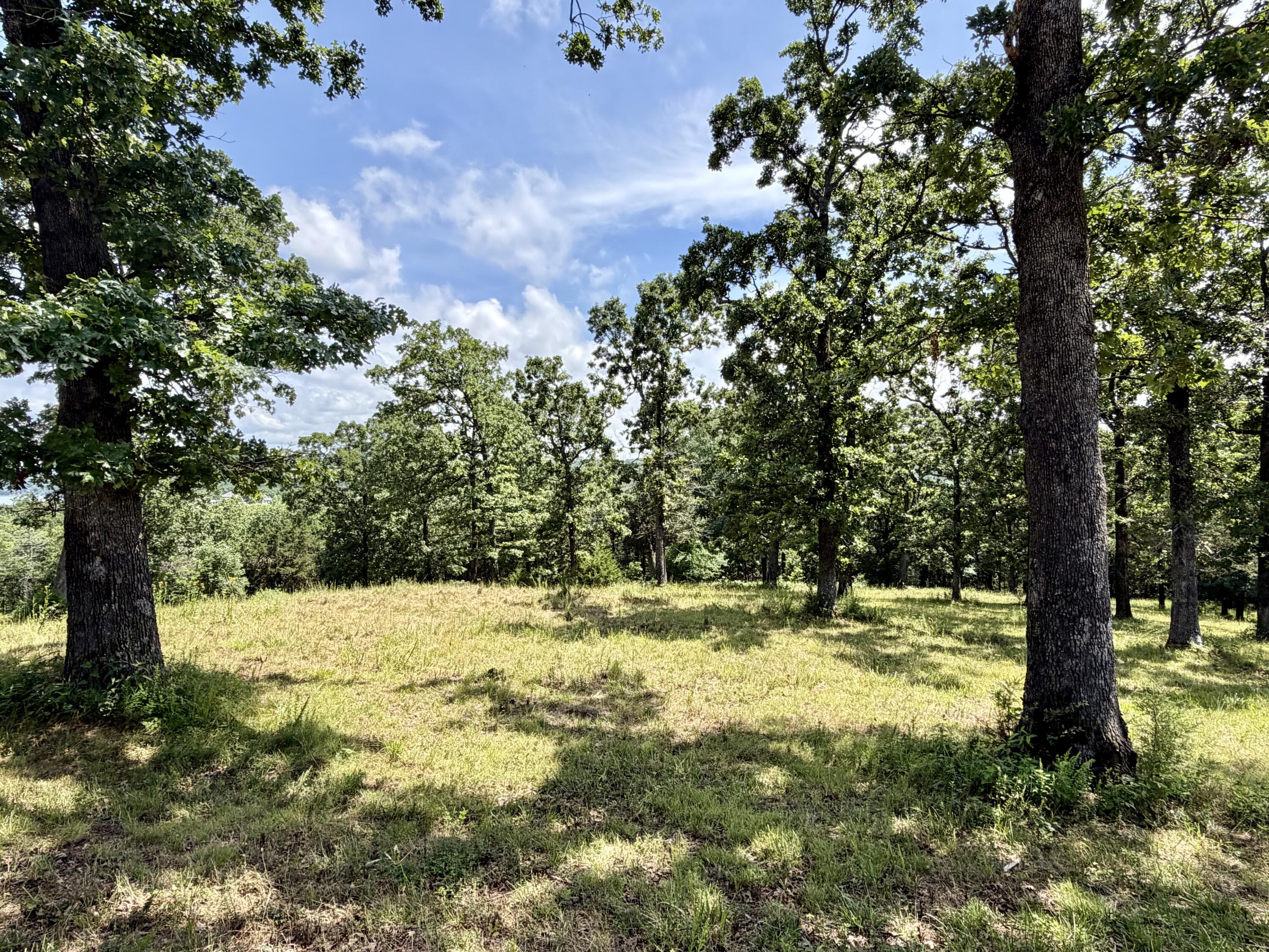 Cedar Falls Lots 1 Property Photo 10