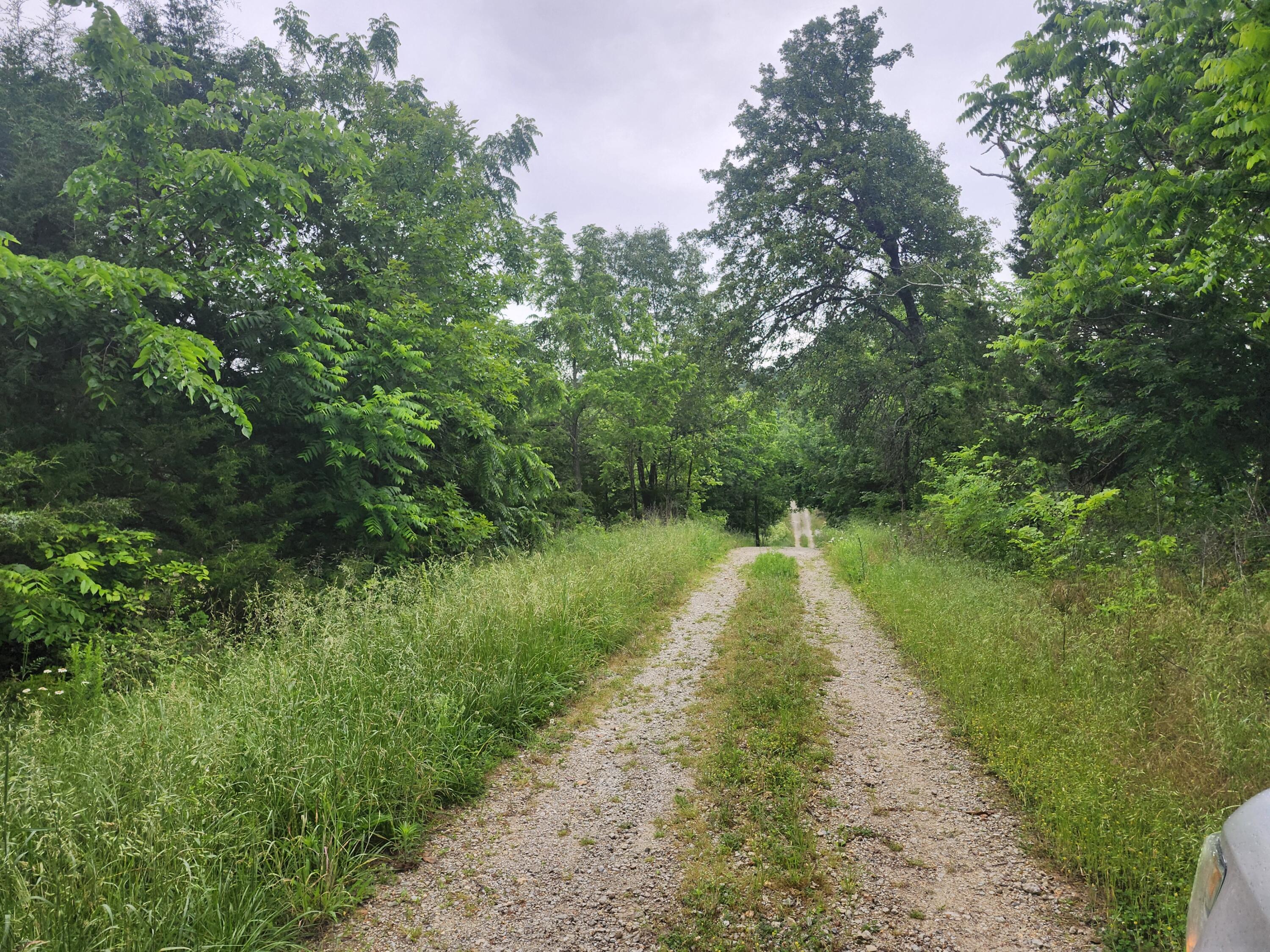 11005 Oak Tree Drive Property Photo 3