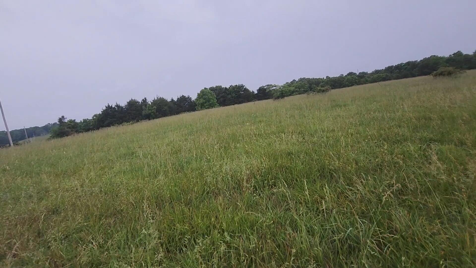 11005 Oak Tree Drive Property Photo 6