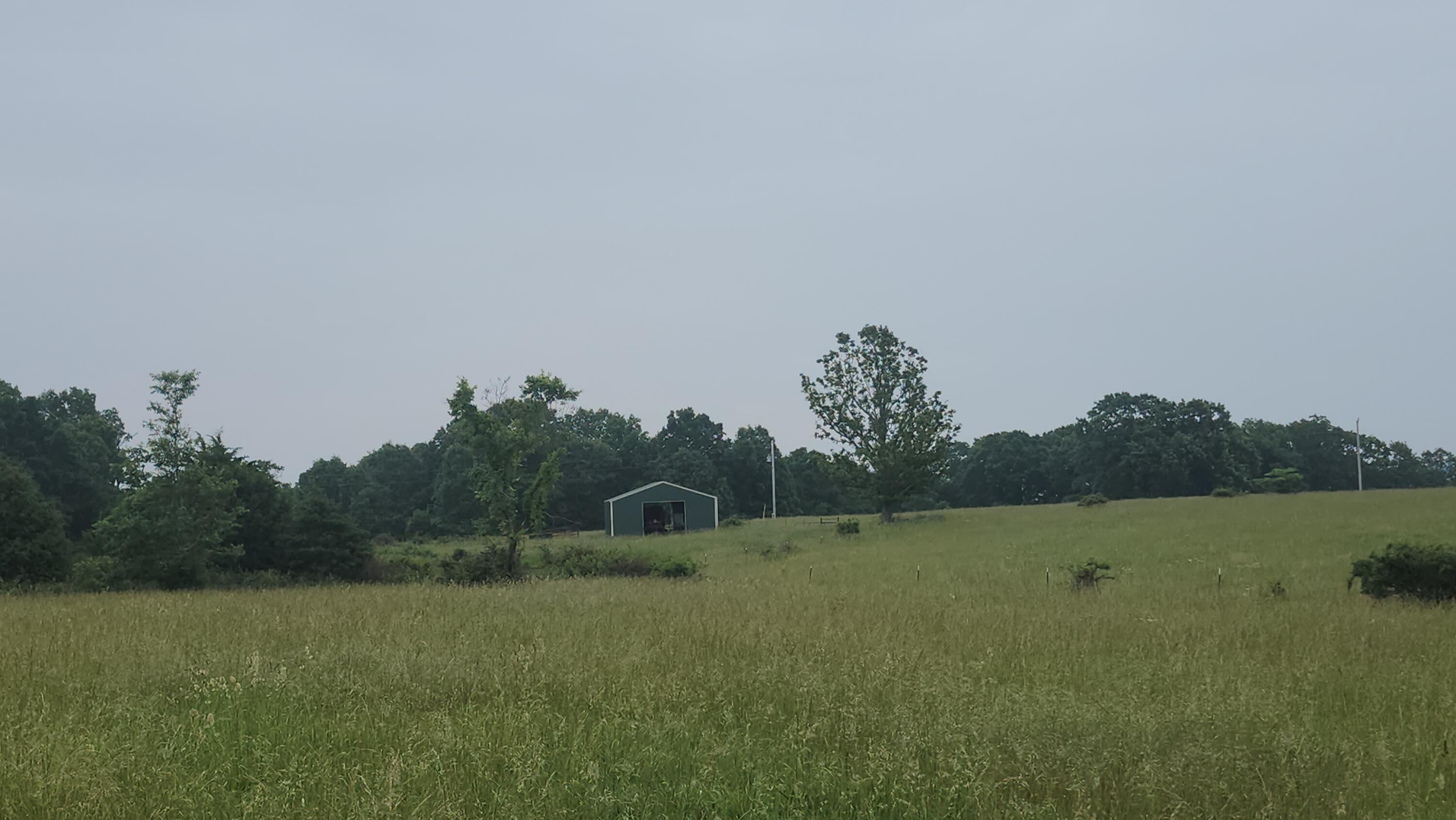 11005 Oak Tree Drive Property Photo 9
