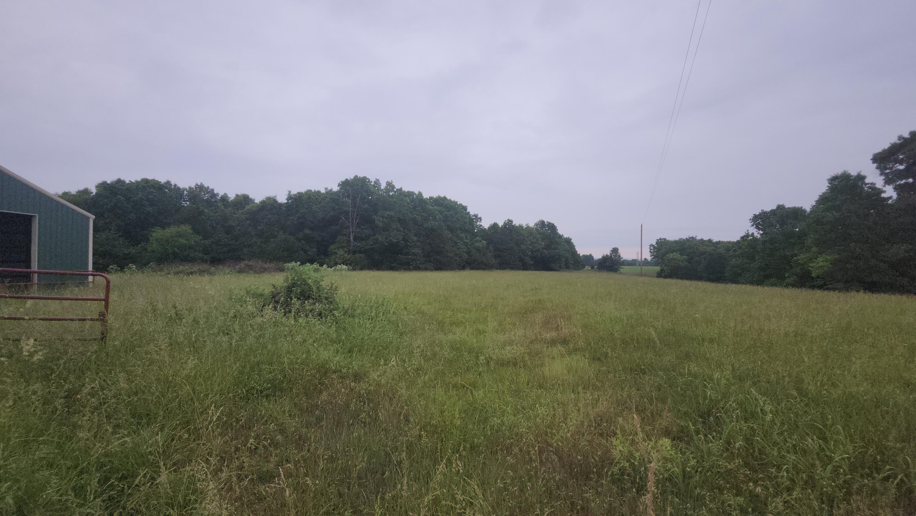 11005 Oak Tree Drive Property Photo 11
