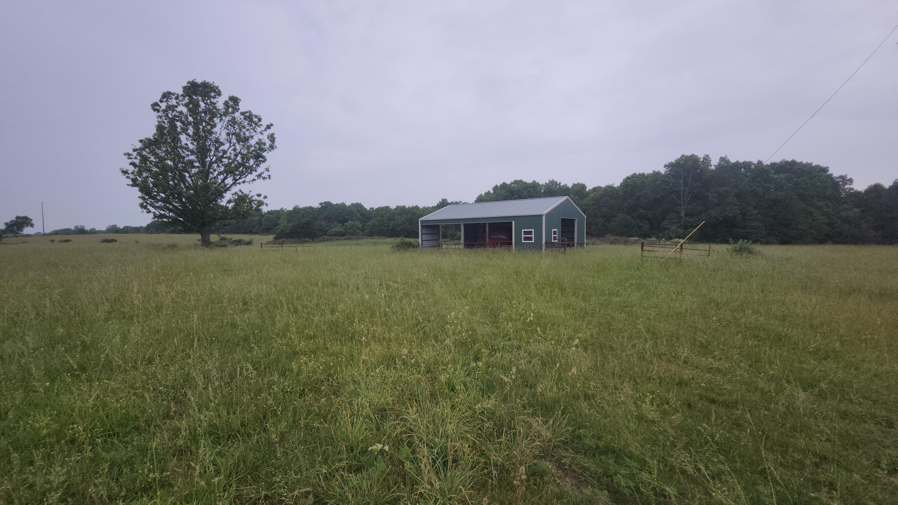 11005 Oak Tree Drive Property Photo 13