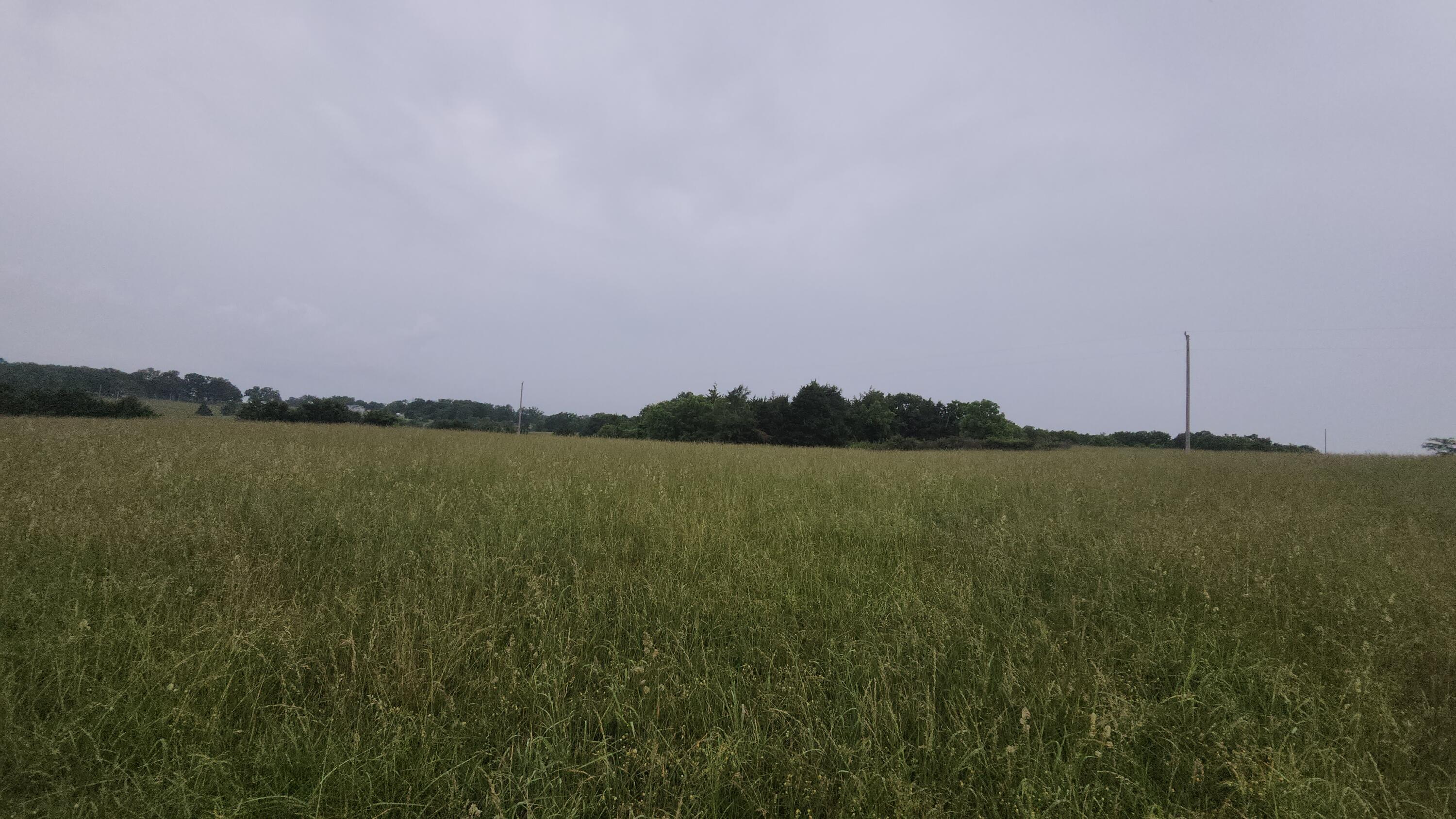 11005 Oak Tree Drive Property Photo 14