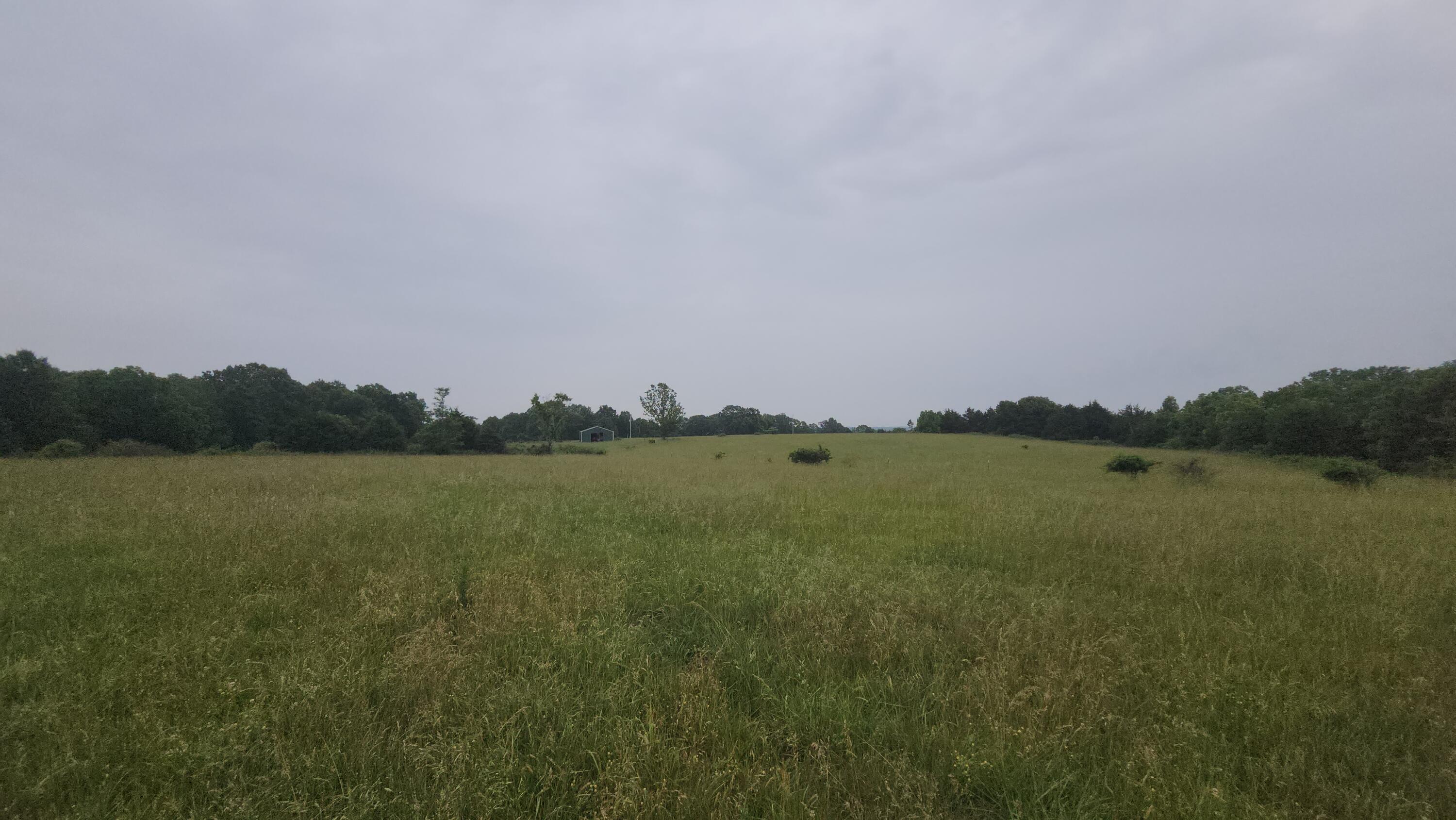 11005 Oak Tree Drive Property Photo 15