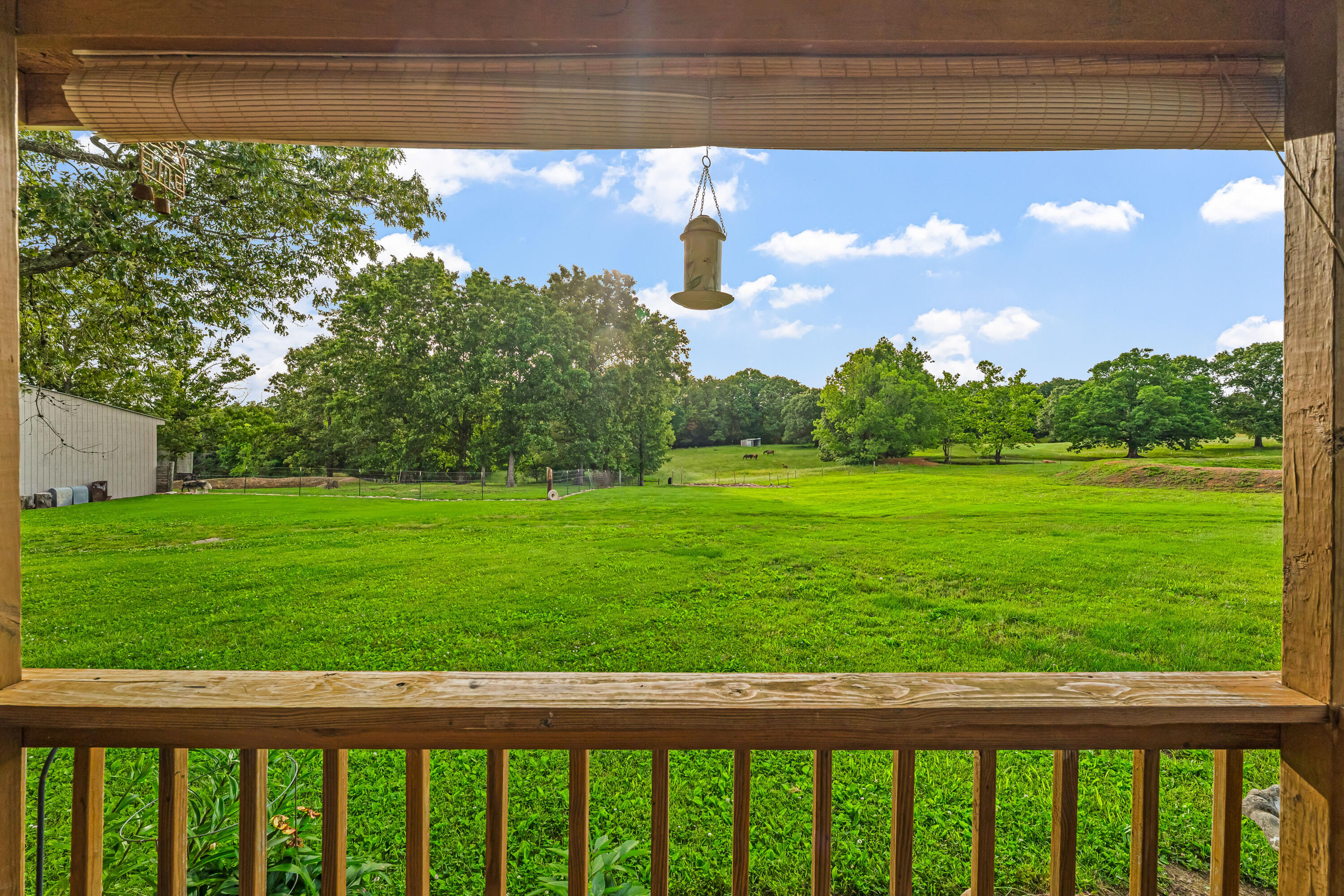 695 County Road 542 Property Photo 34