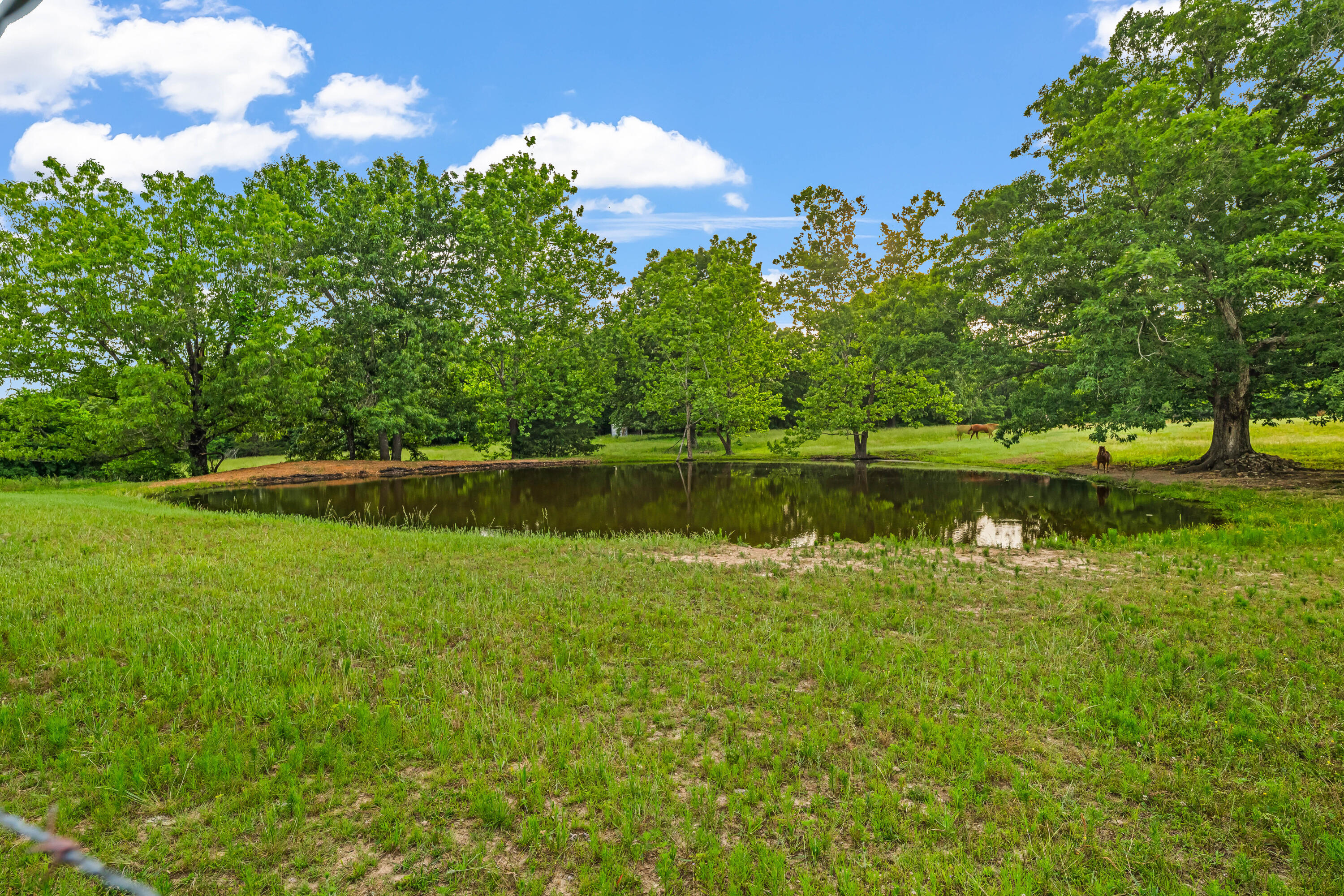 695 County Road 542 Property Photo 36