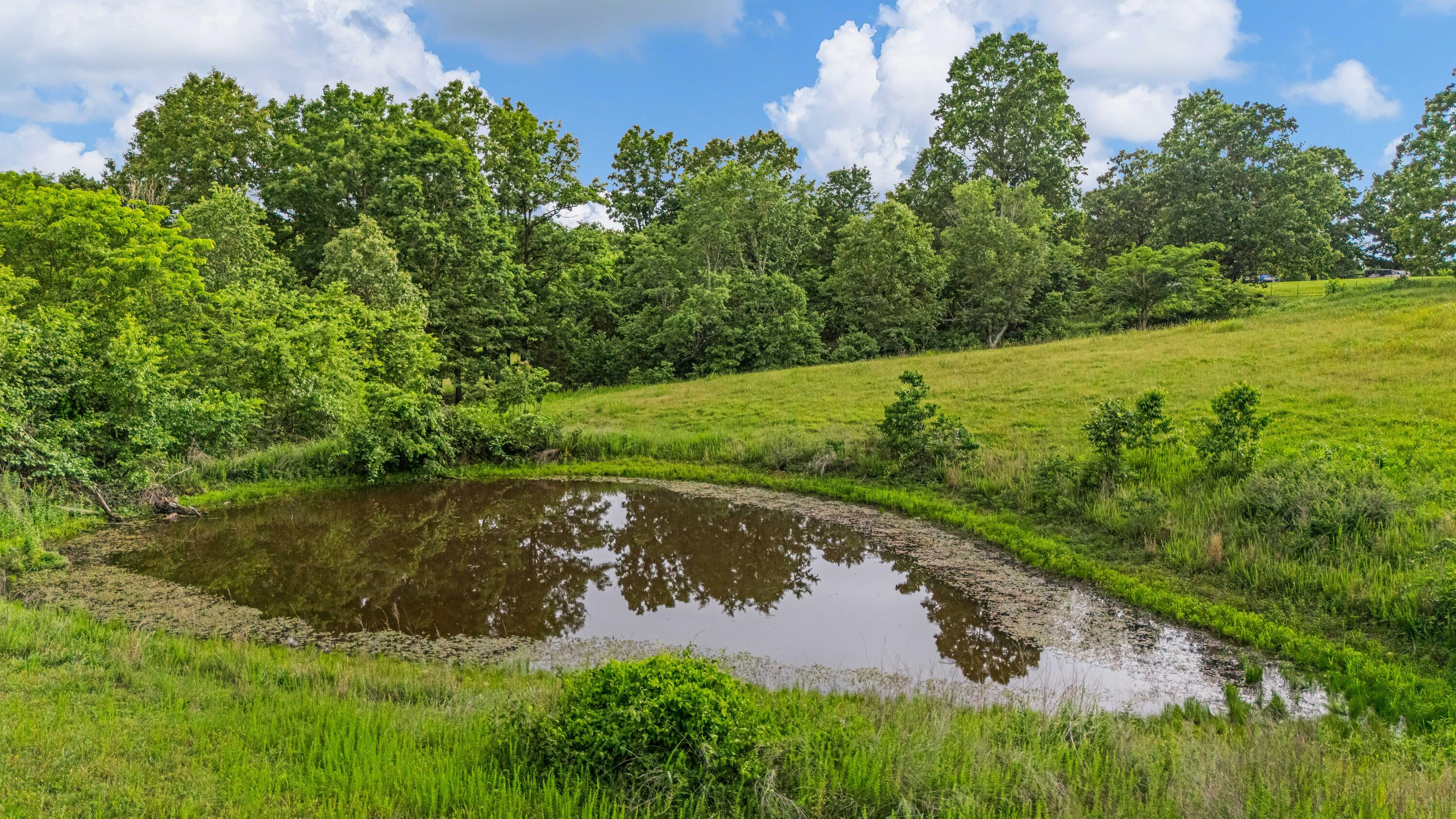 695 County Road 542 Property Photo 45