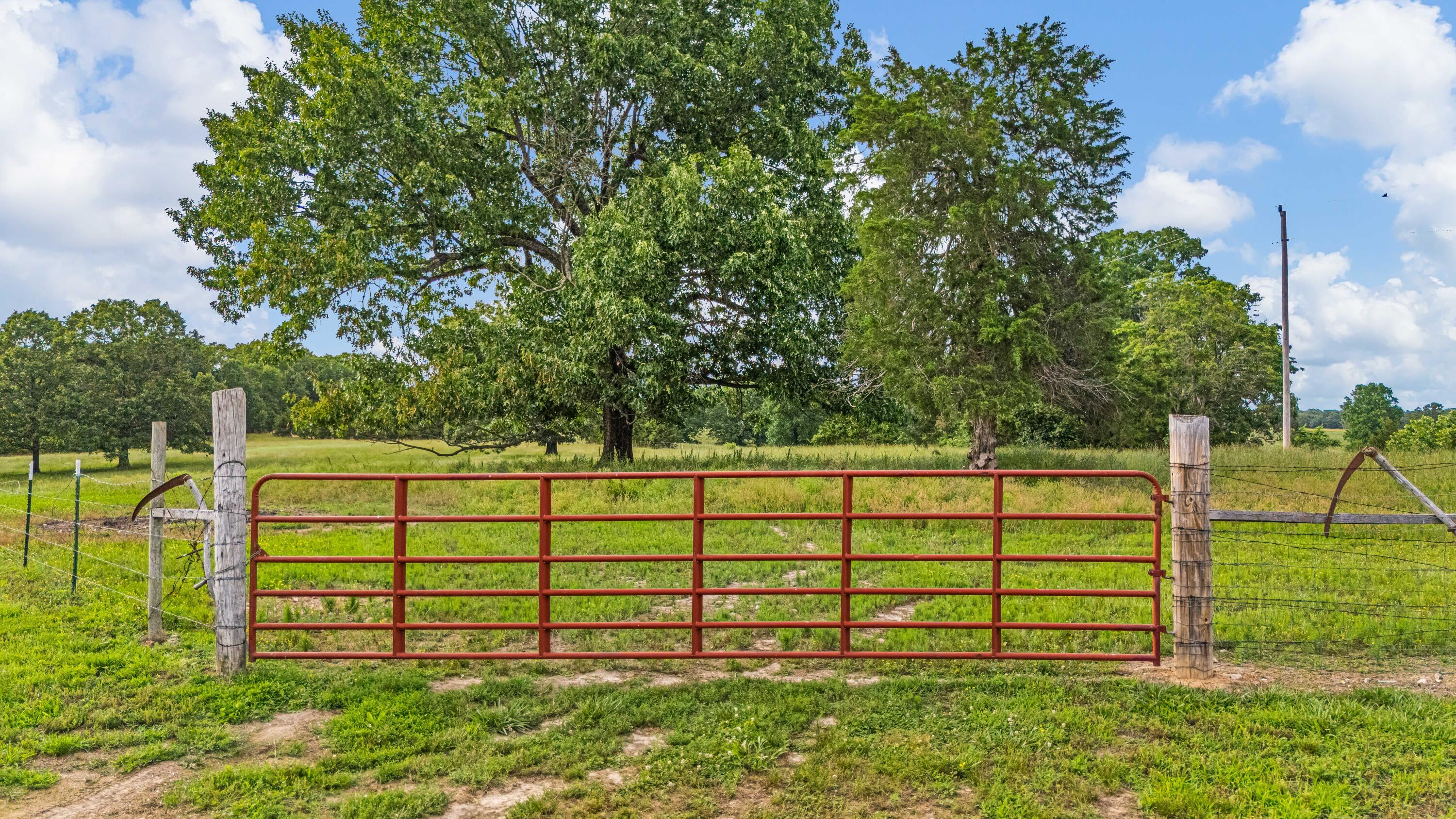 695 County Road 542 Property Photo 47