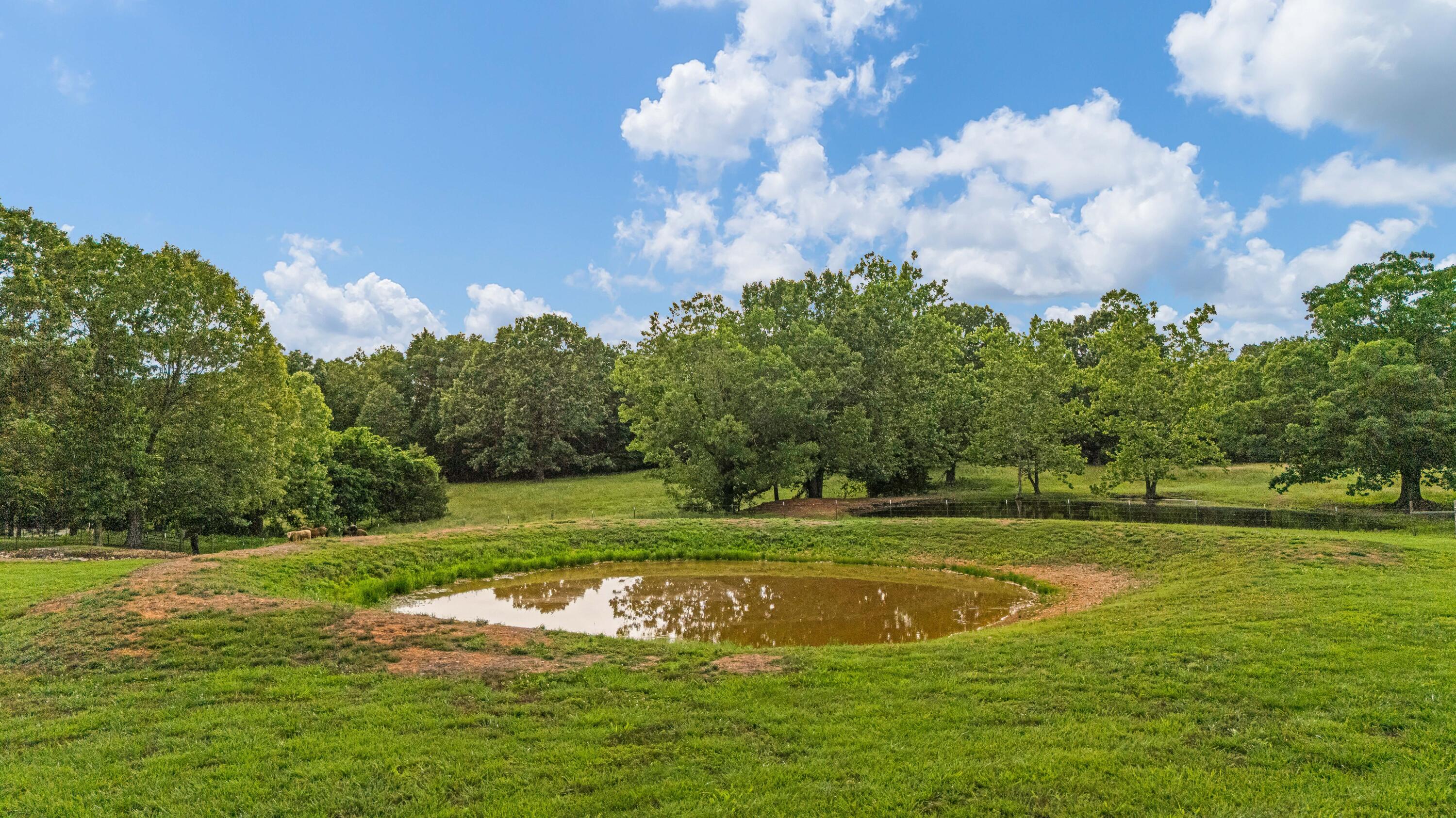 695 County Road 542 Property Photo 49