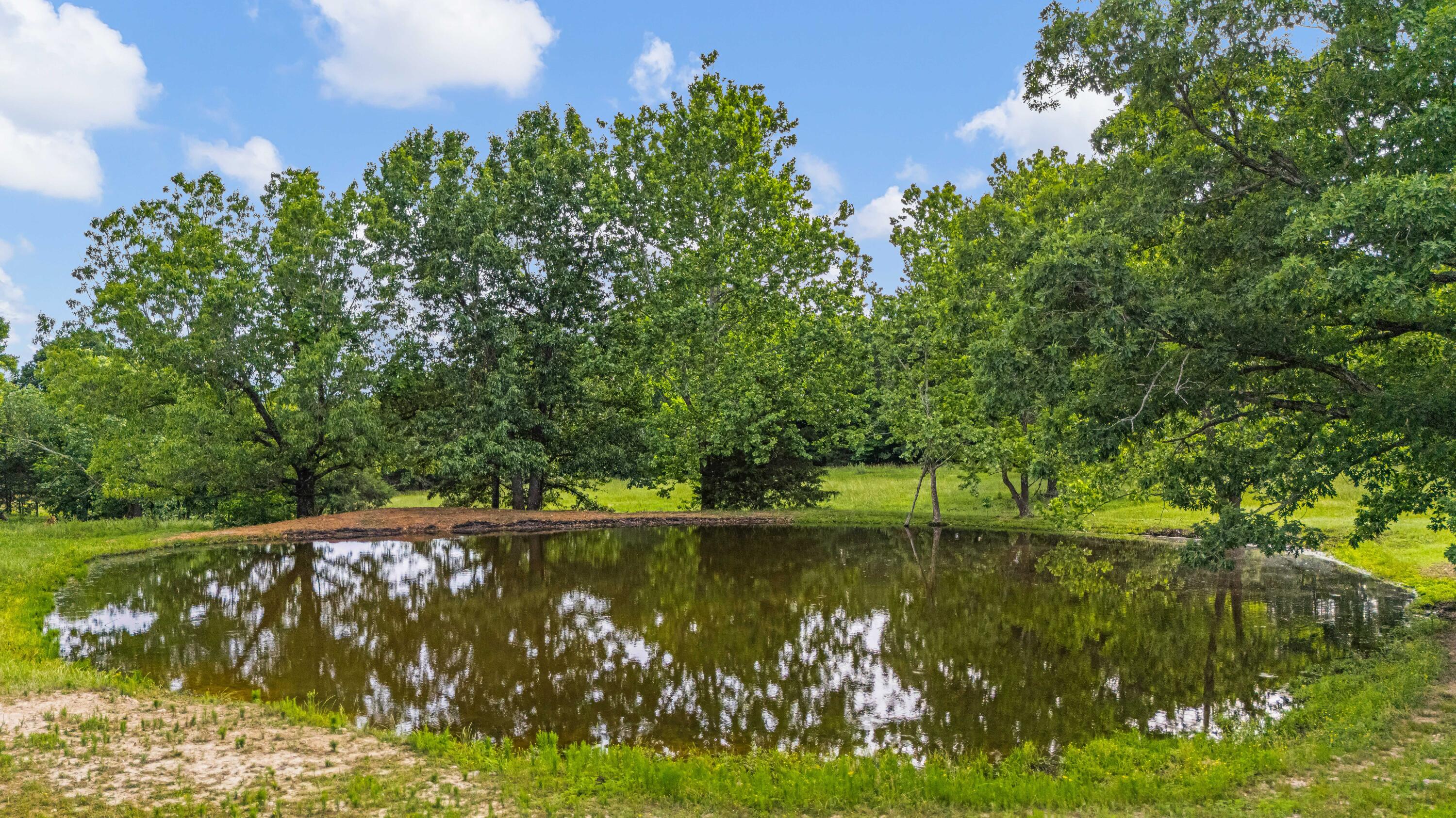 695 County Road 542 Property Photo 50