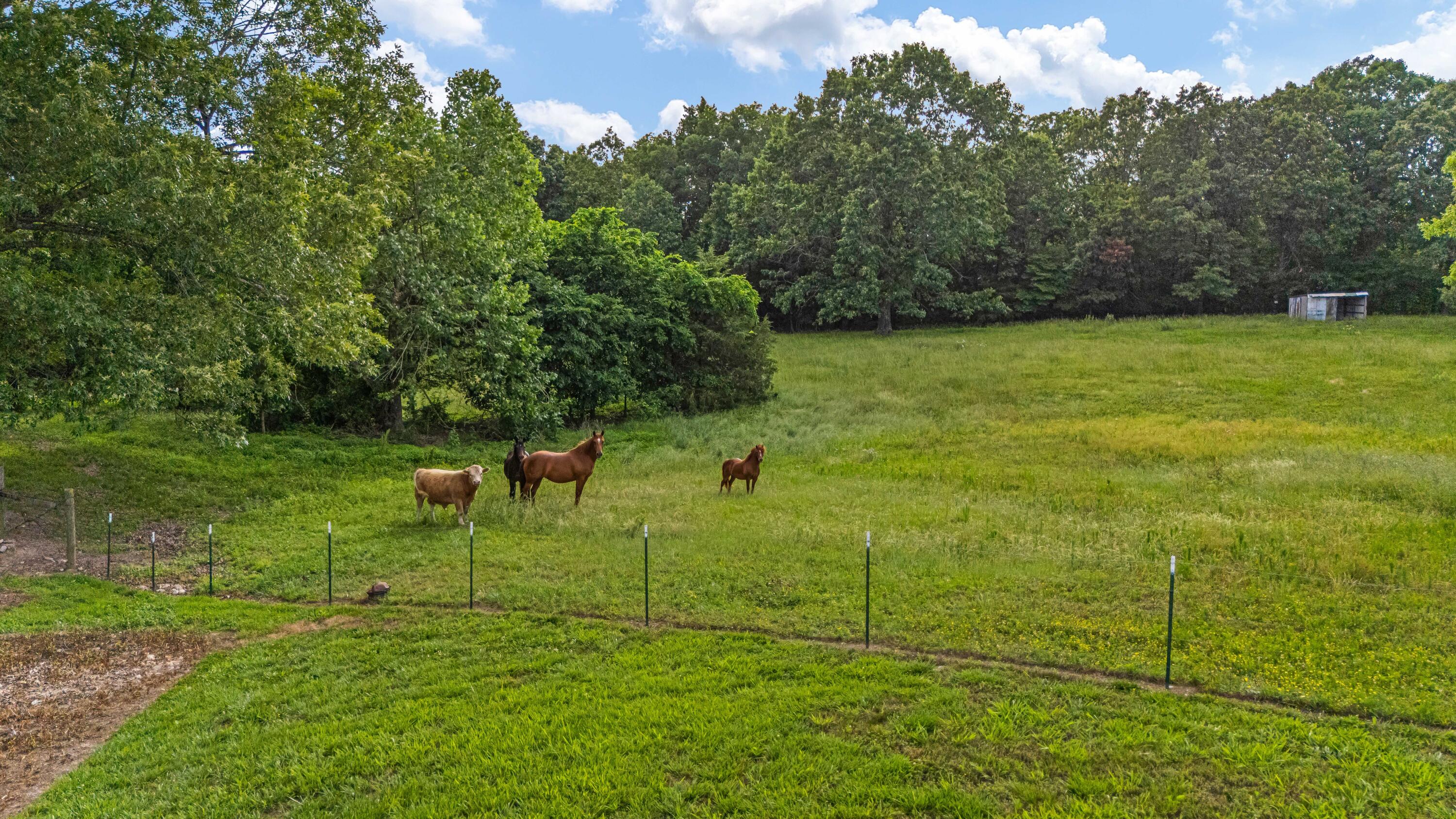 695 County Road 542 Property Photo 52