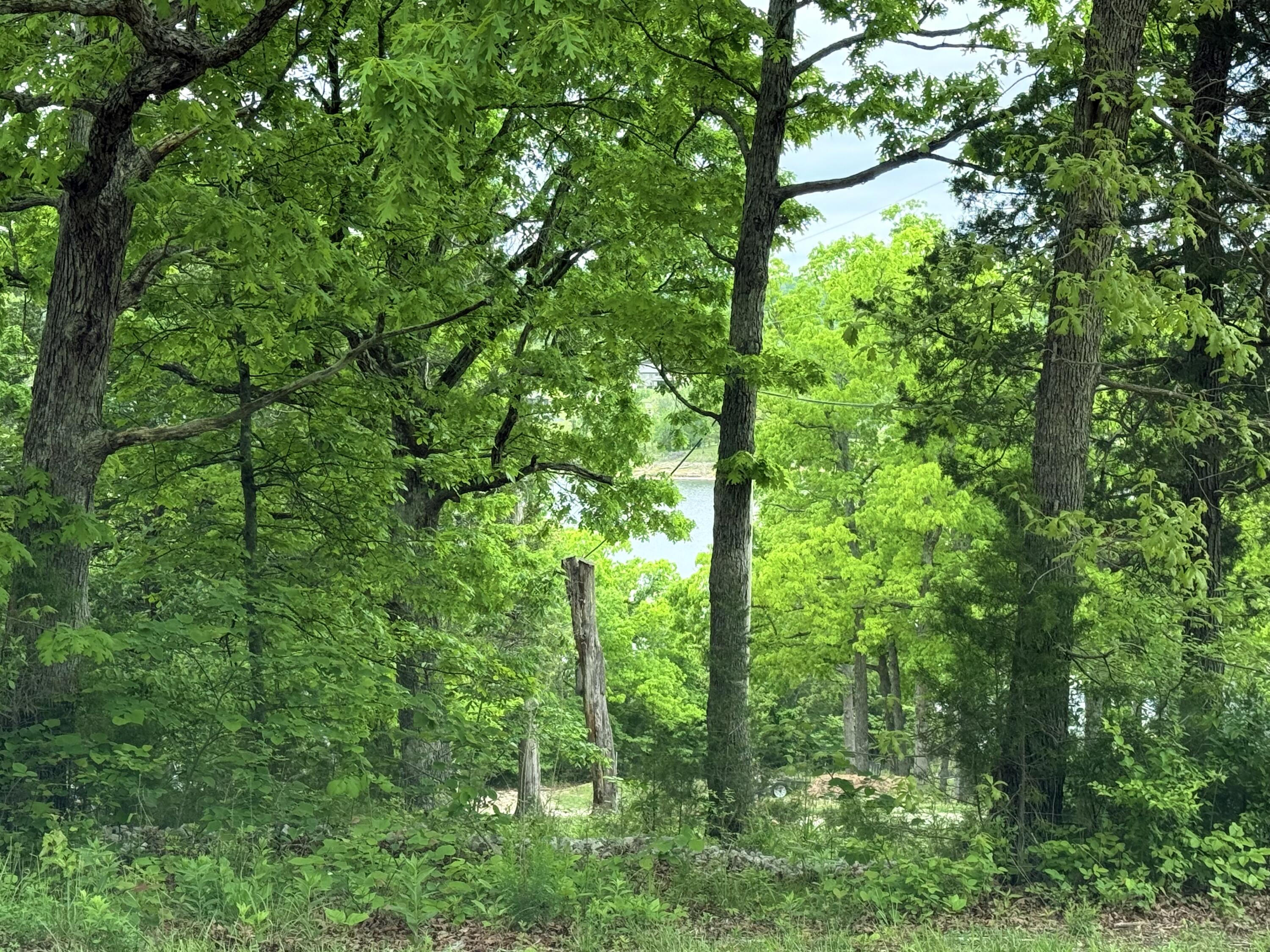 148 Crooked Tree Road Property Photo 7