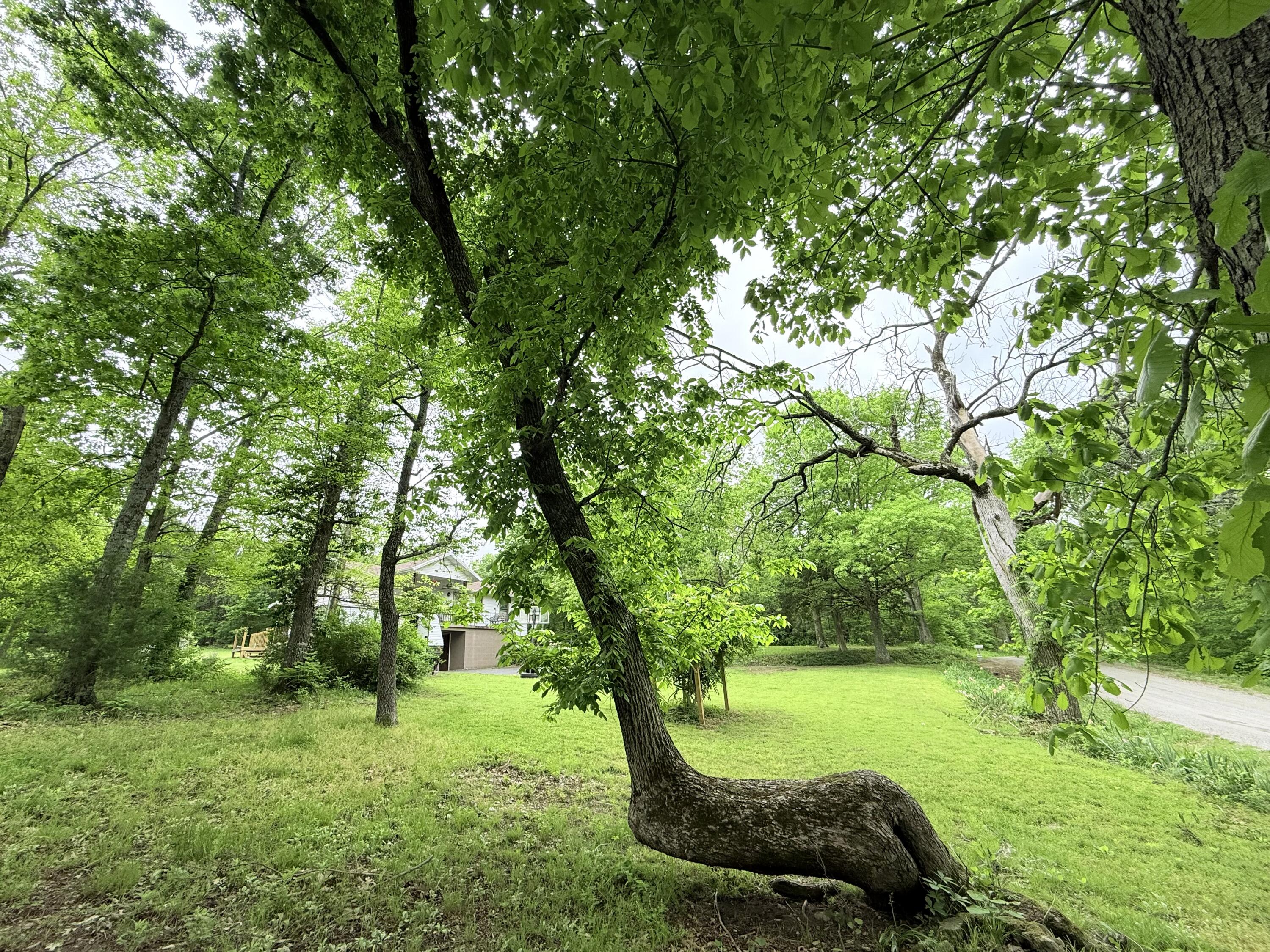 148 Crooked Tree Road Property Photo 24