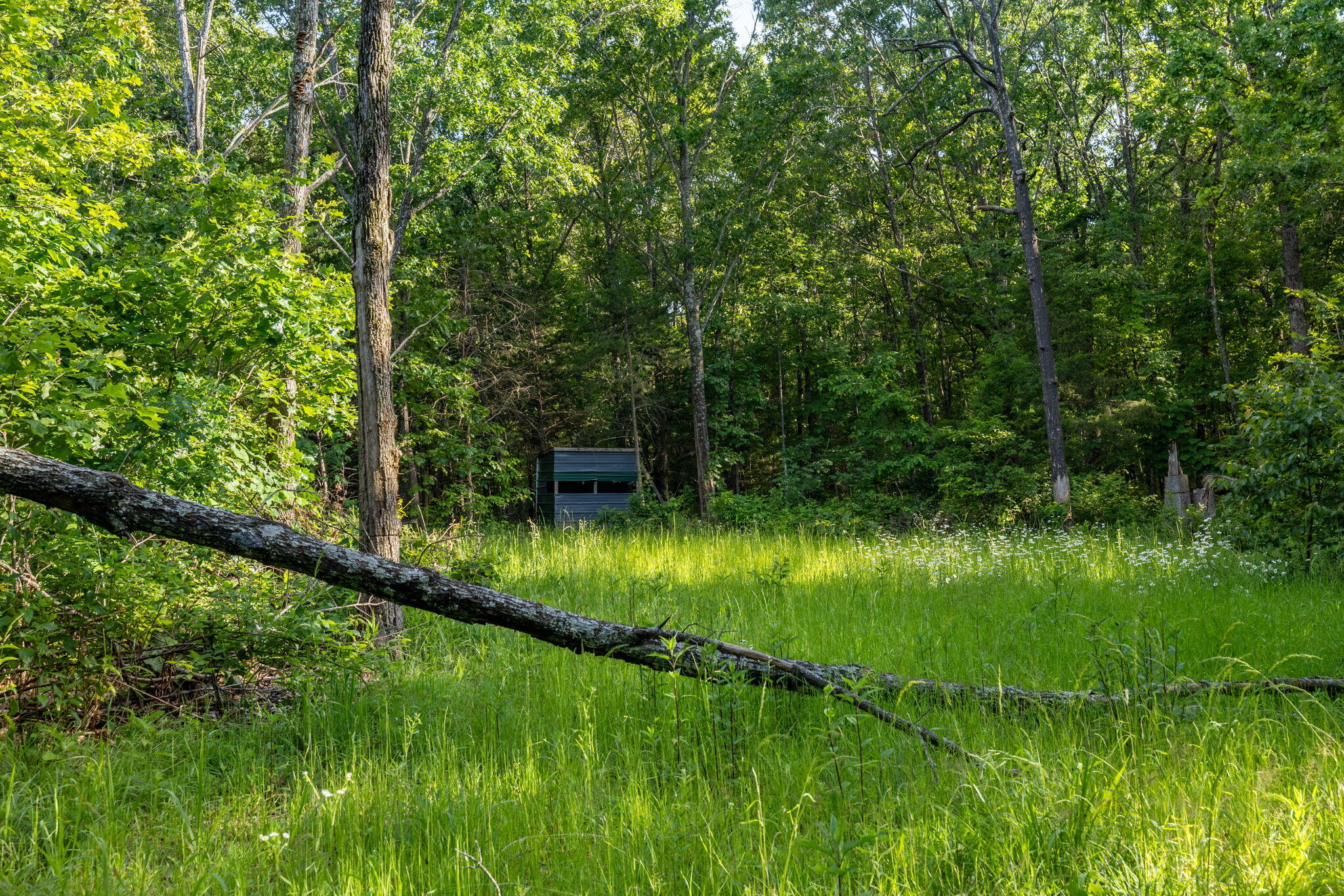 3093 South 25th Road Property Photo 40