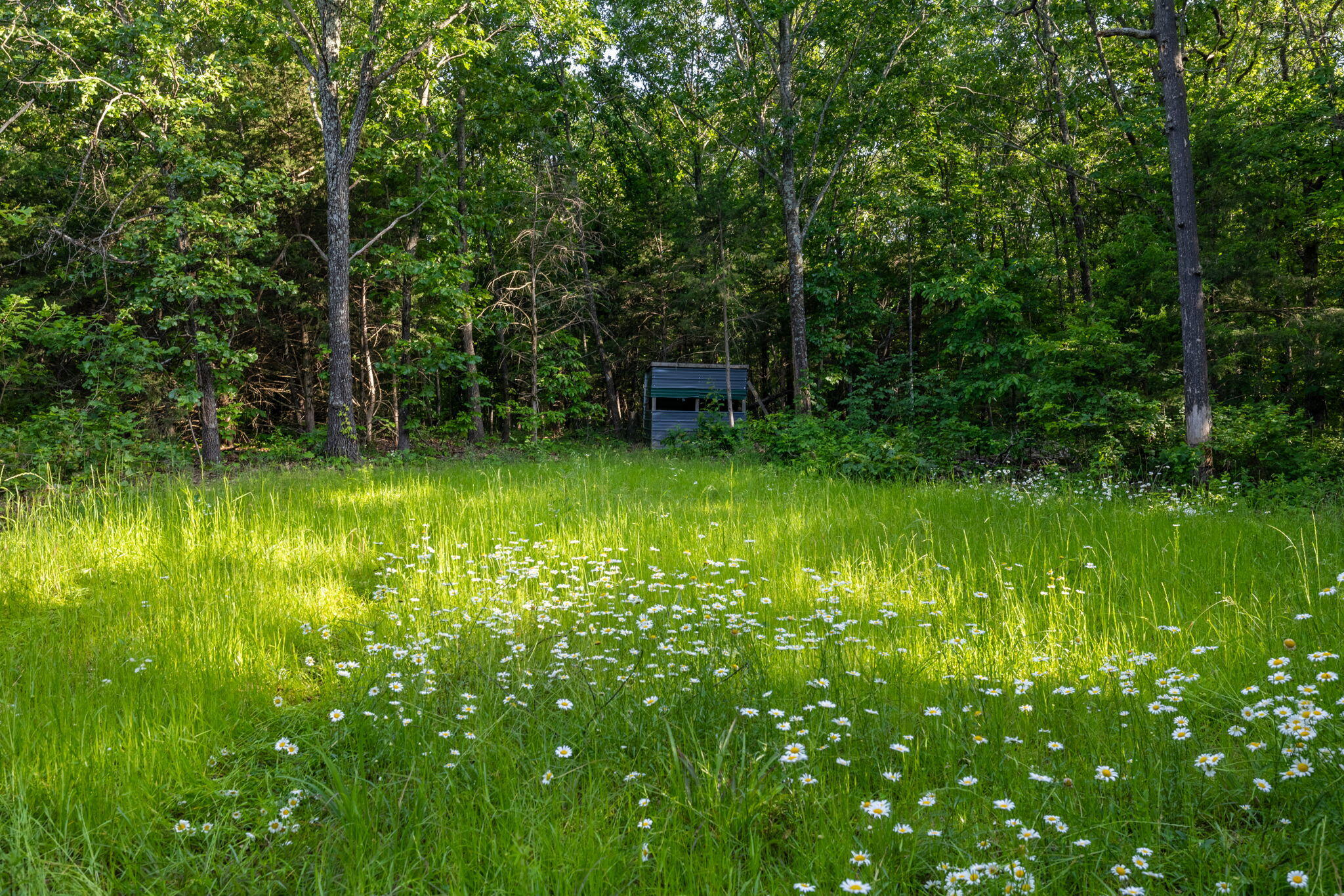 3093 South 25th Road Property Photo 42