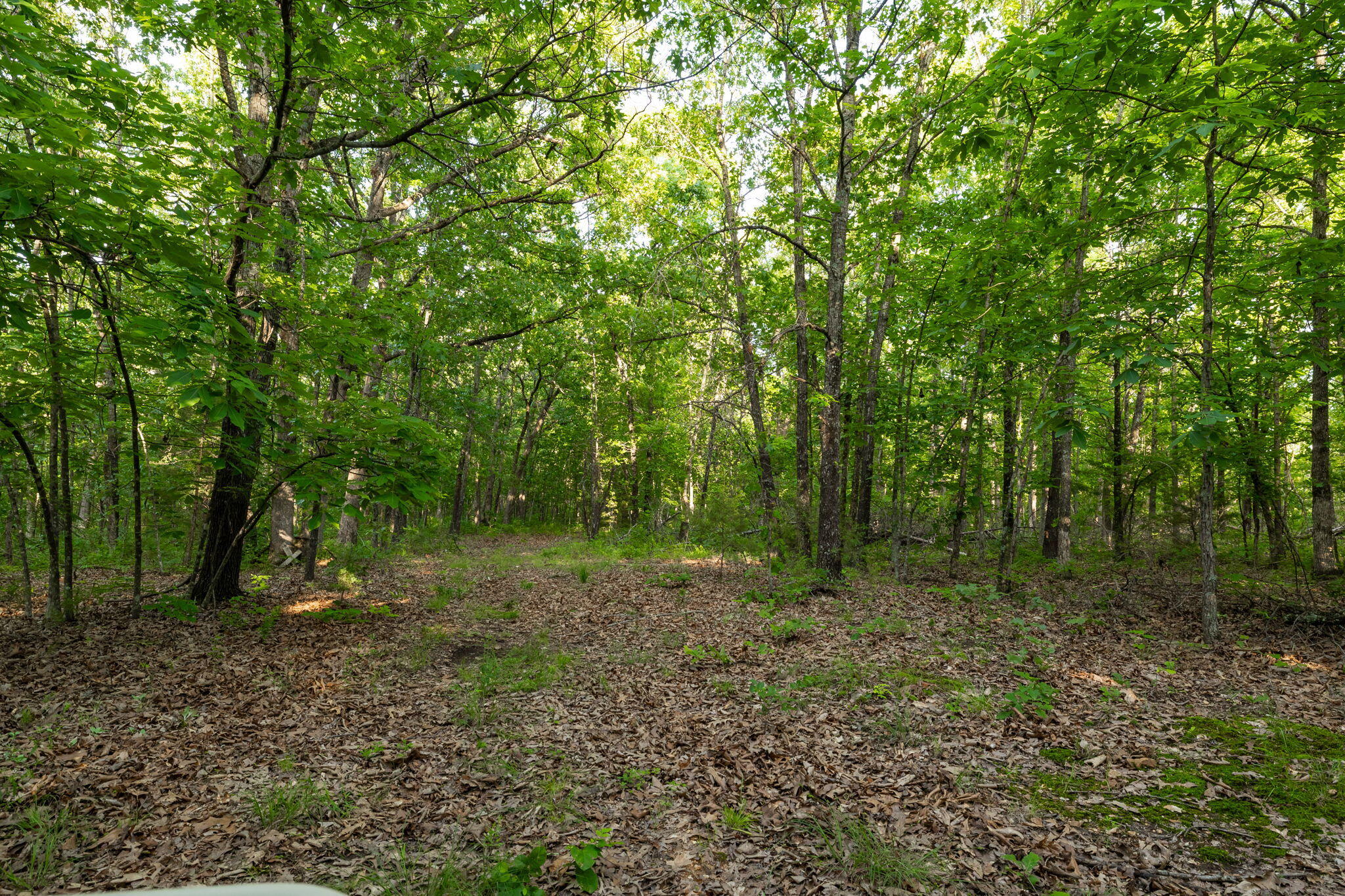 3093 South 25th Road Property Photo 49