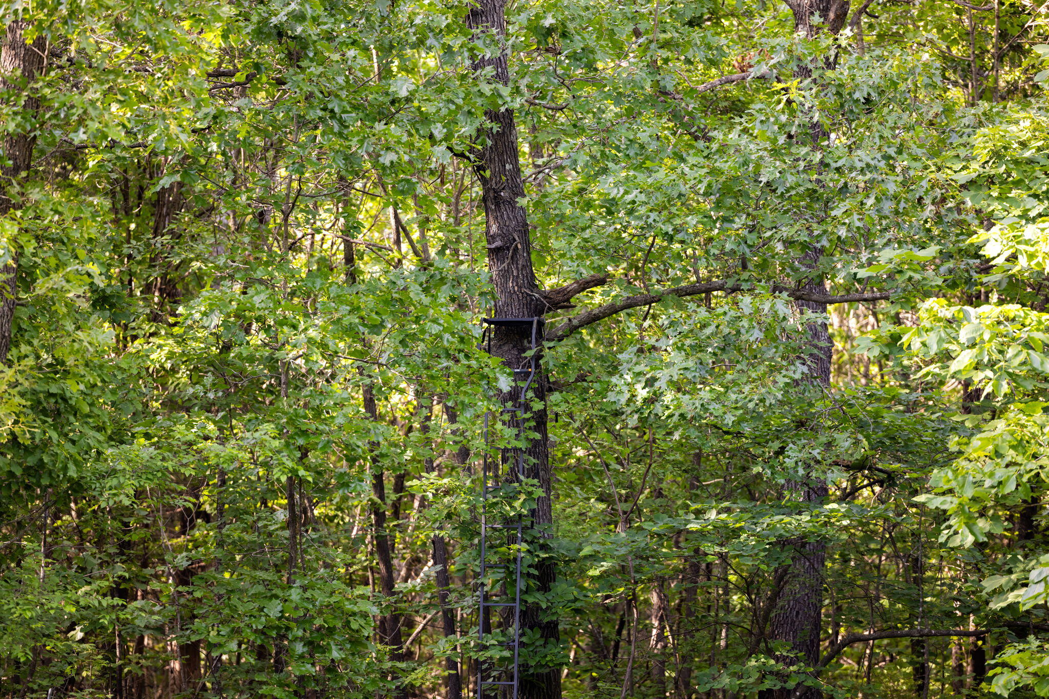 3093 South 25th Road Property Photo 56