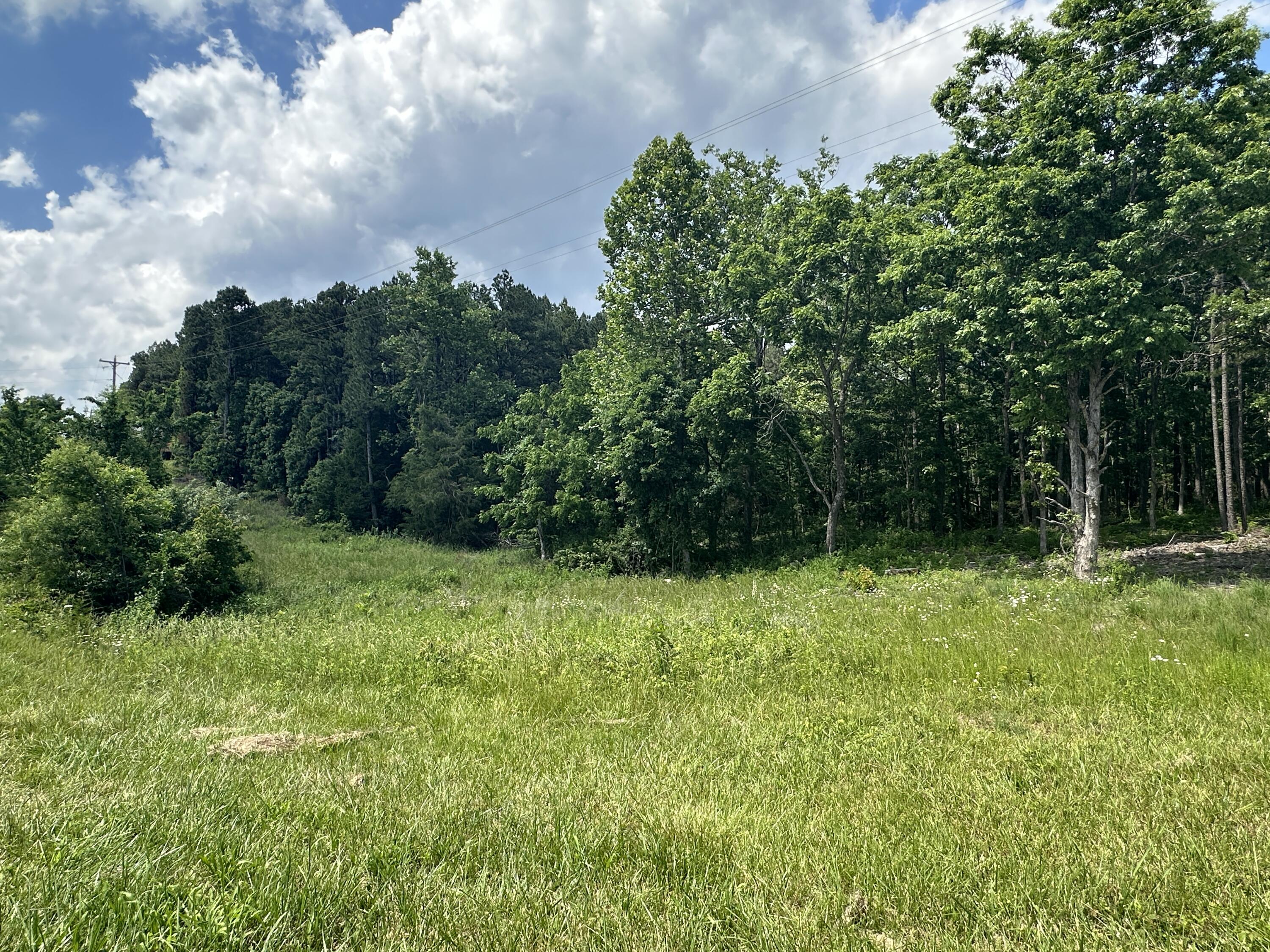 000 Country Aire Land & Pine Ridge Property Photo 4