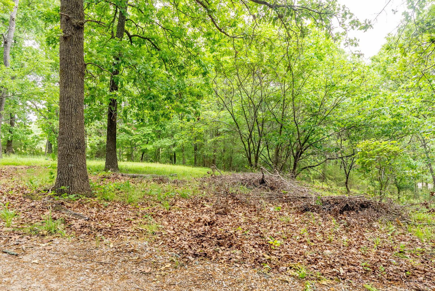 75 County Road 7280 Property Photo 59