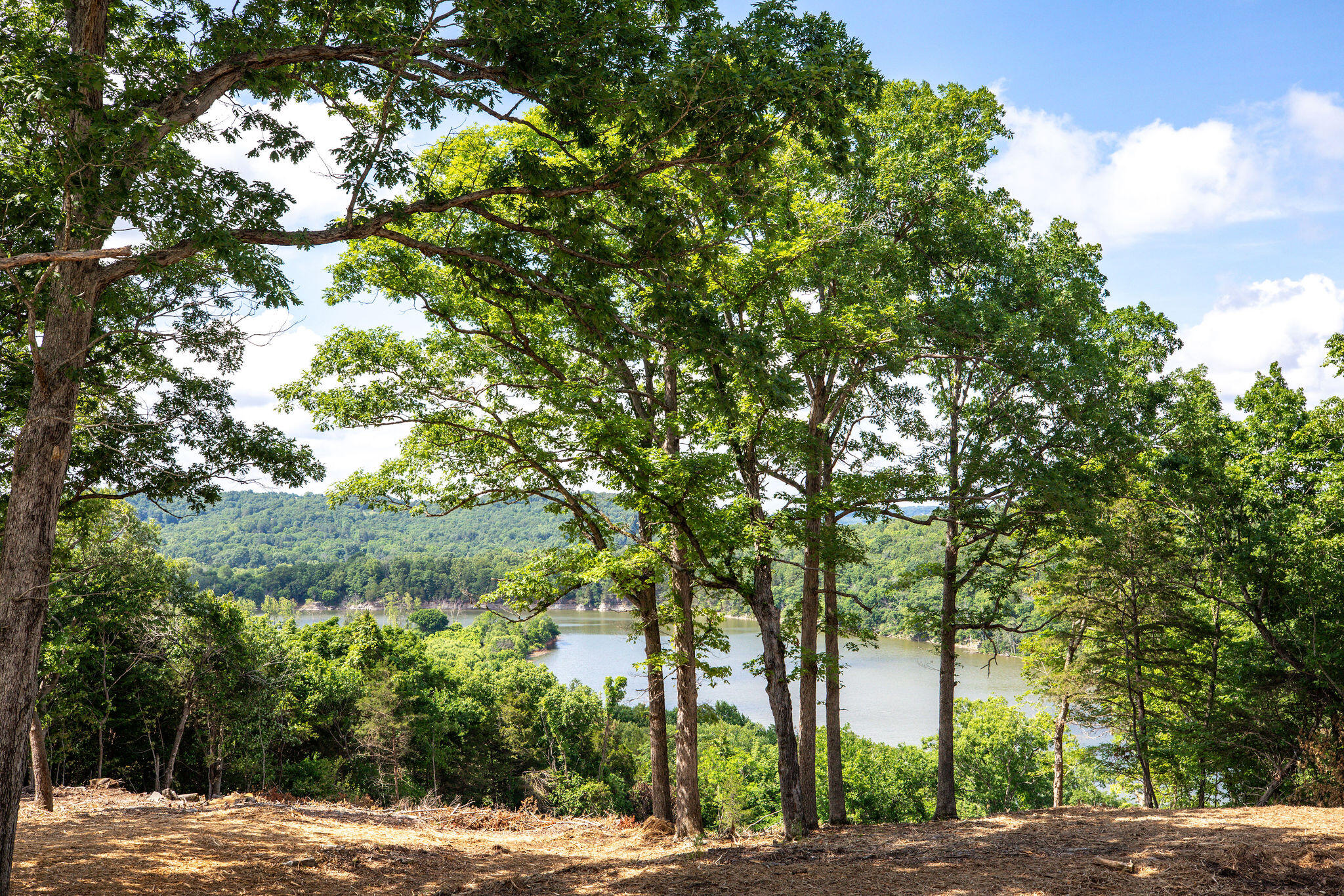 14129 Hwy 311 Property Photo 4