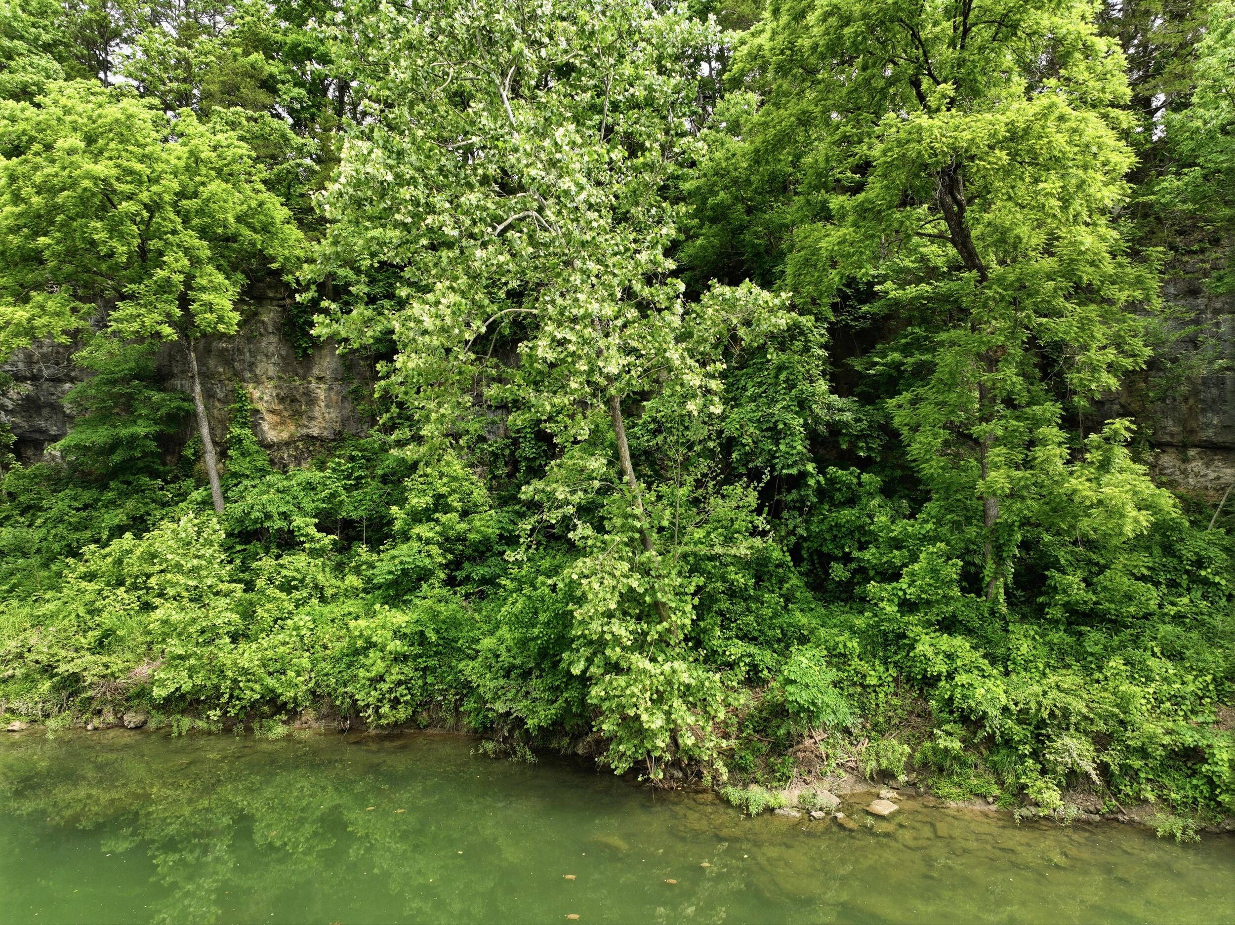 9723 Highway E Property Photo 61