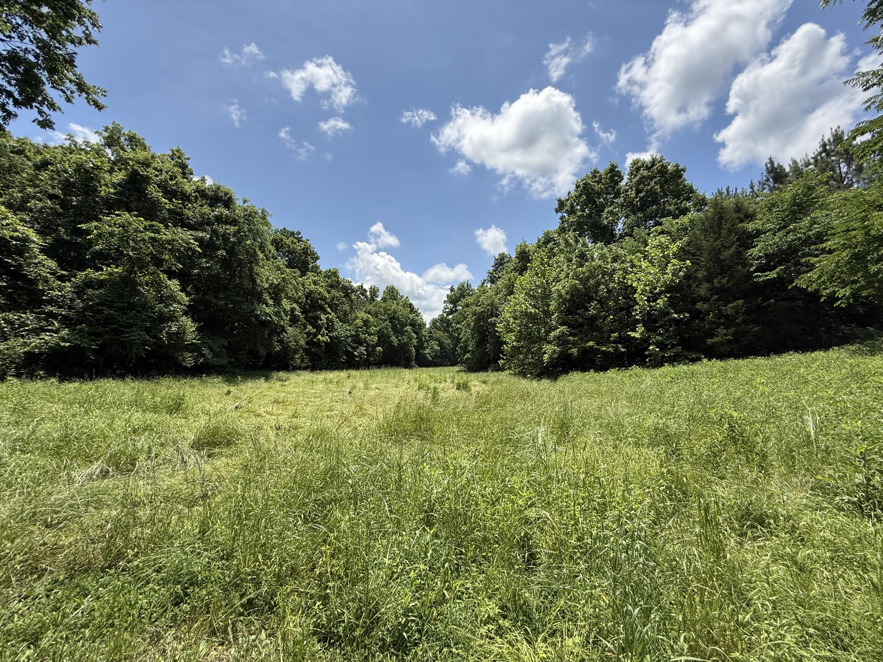 9723 Highway E Property Photo 77