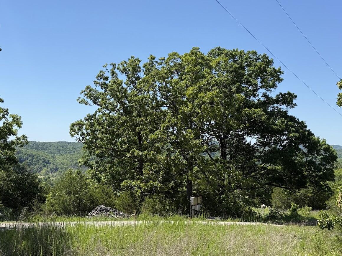 535 Skyline Drive Property Photo 11