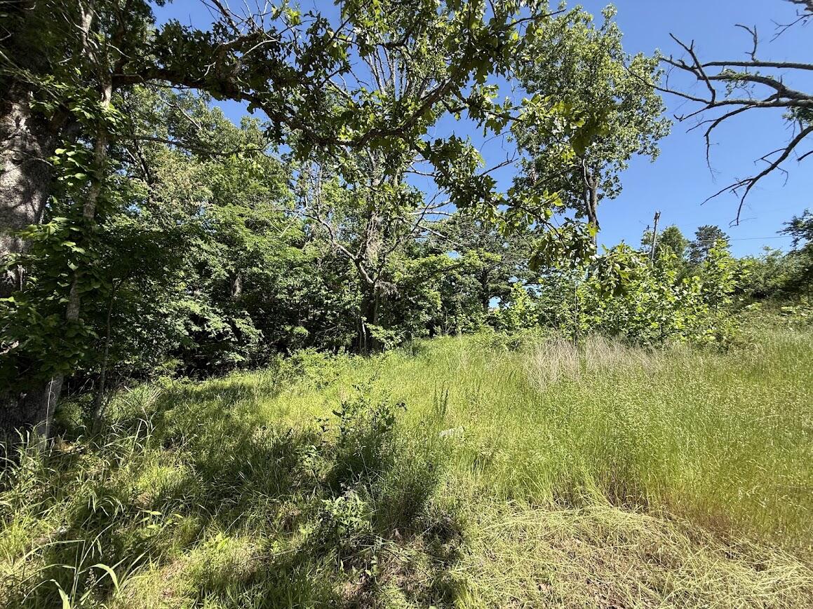 535 Skyline Drive Property Photo 16