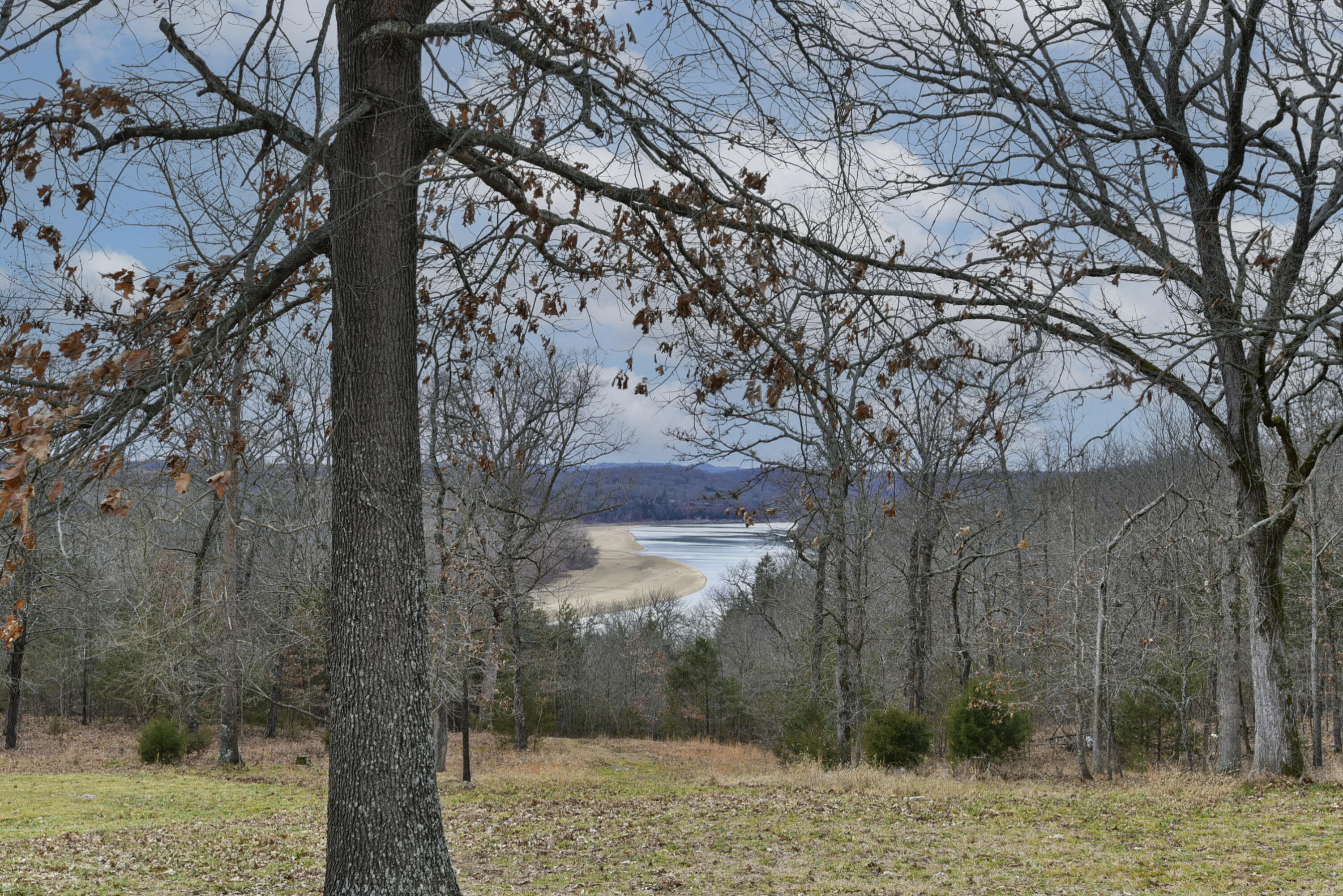 26629 Bobcat Lane Property Photo 11