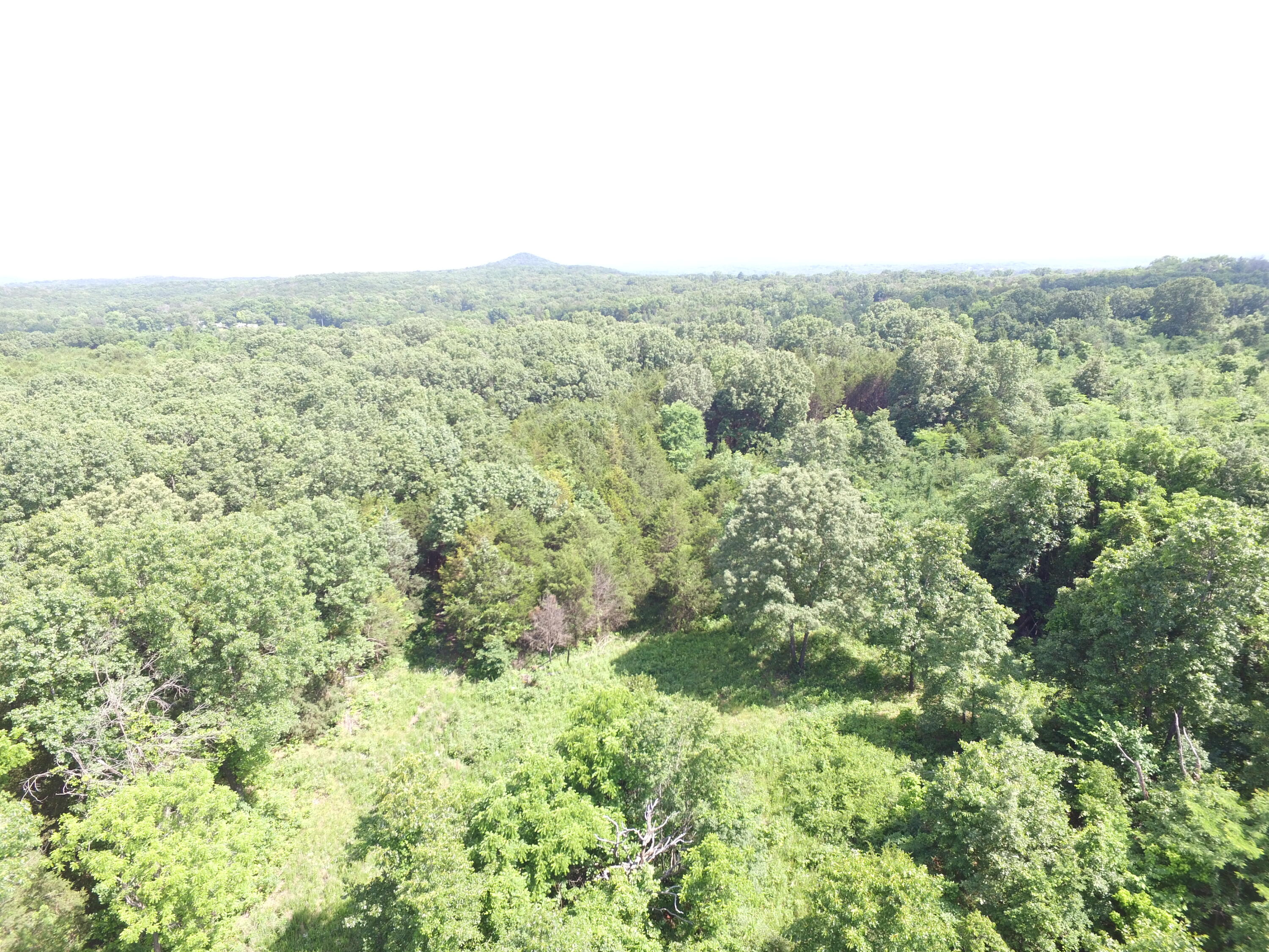 000 Yy 15 Road Property Photo 17